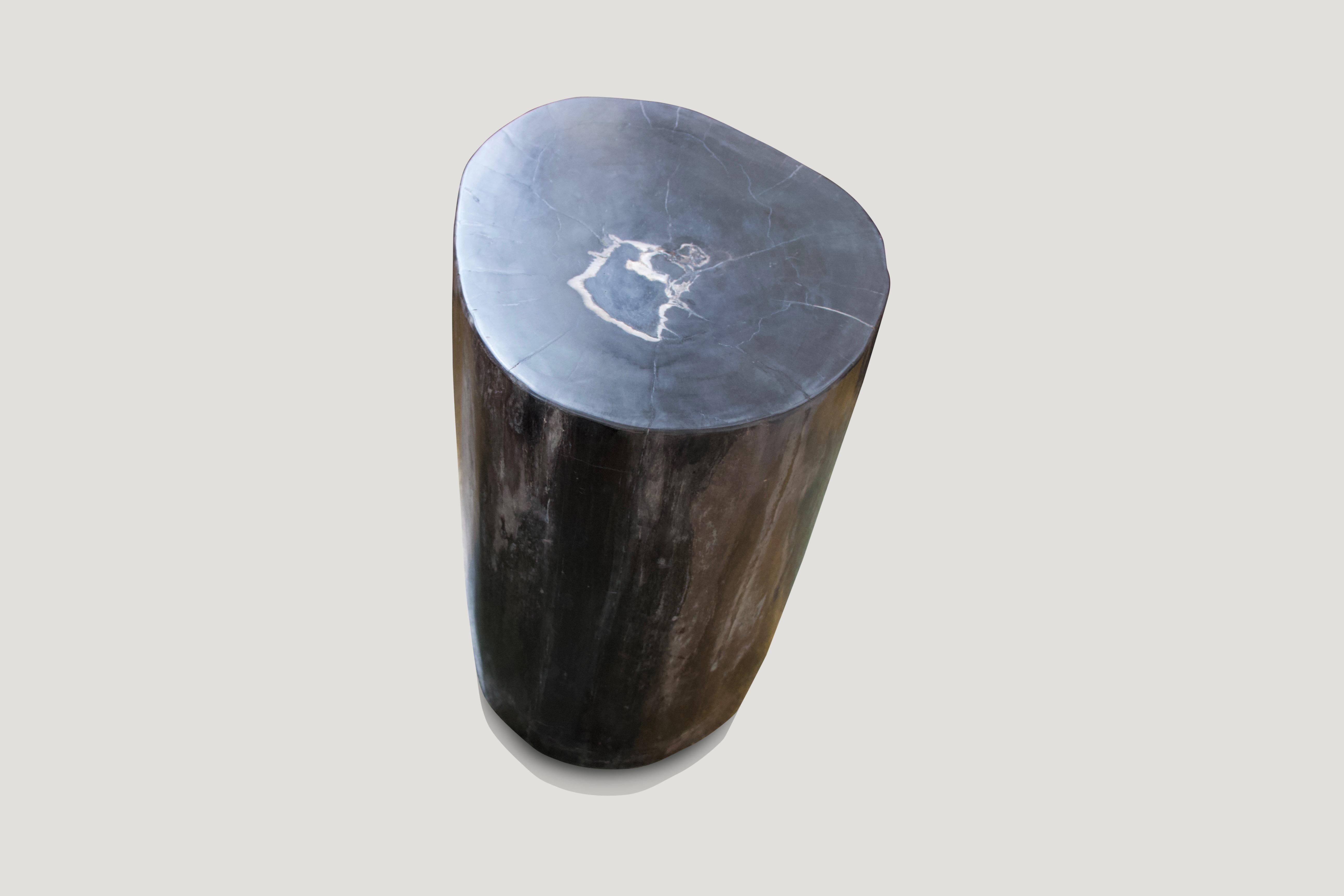Andrianna Shamaris Classic Black Super Smooth Petrified Wood Side Table In Excellent Condition In New York, NY