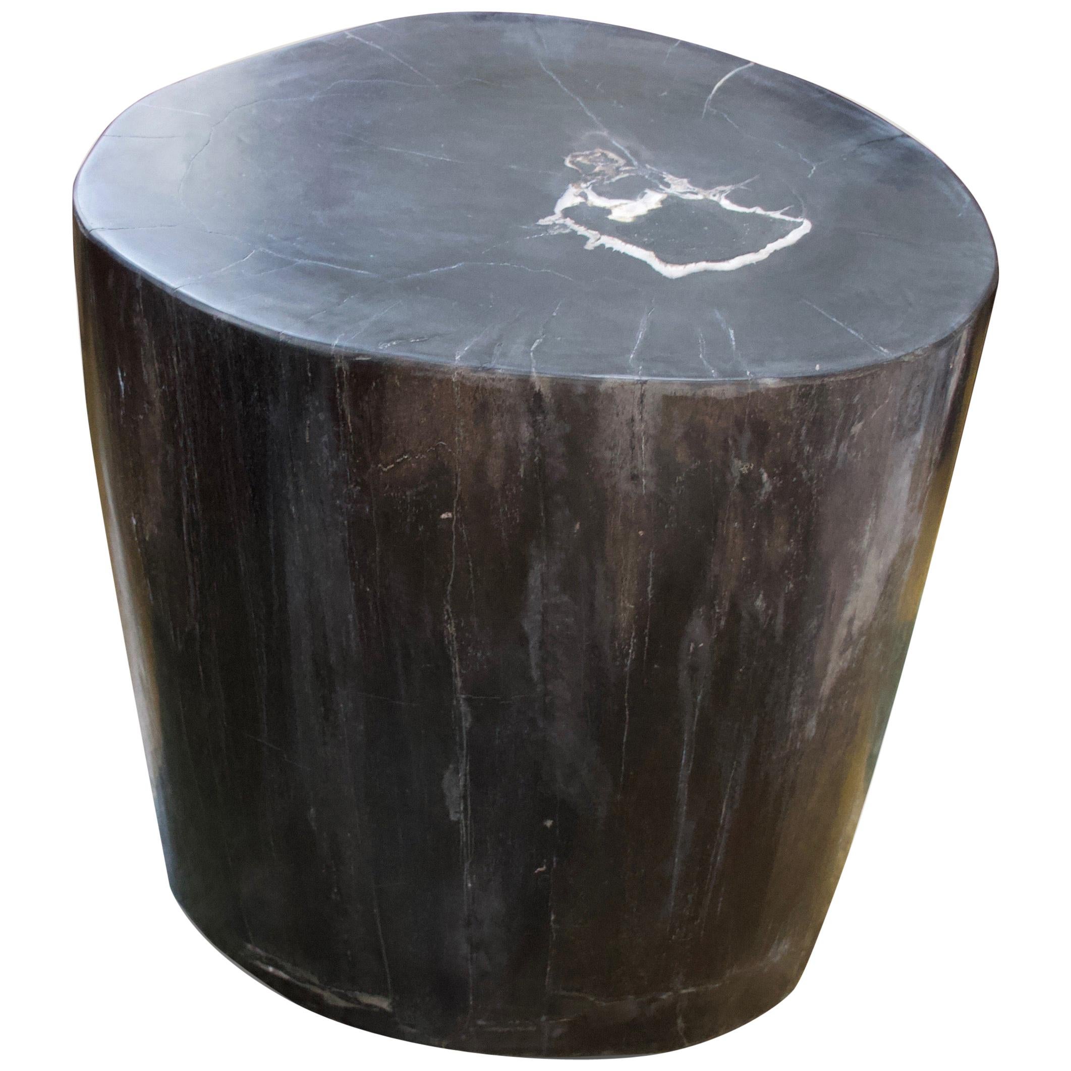 Andrianna Shamaris Classic Black Super Smooth Petrified Wood Side Table