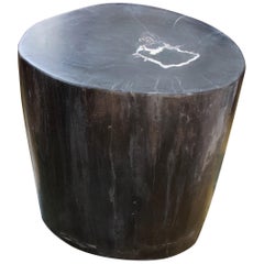 Andrianna Shamaris Classic Black Super Smooth Petrified Wood Side Table