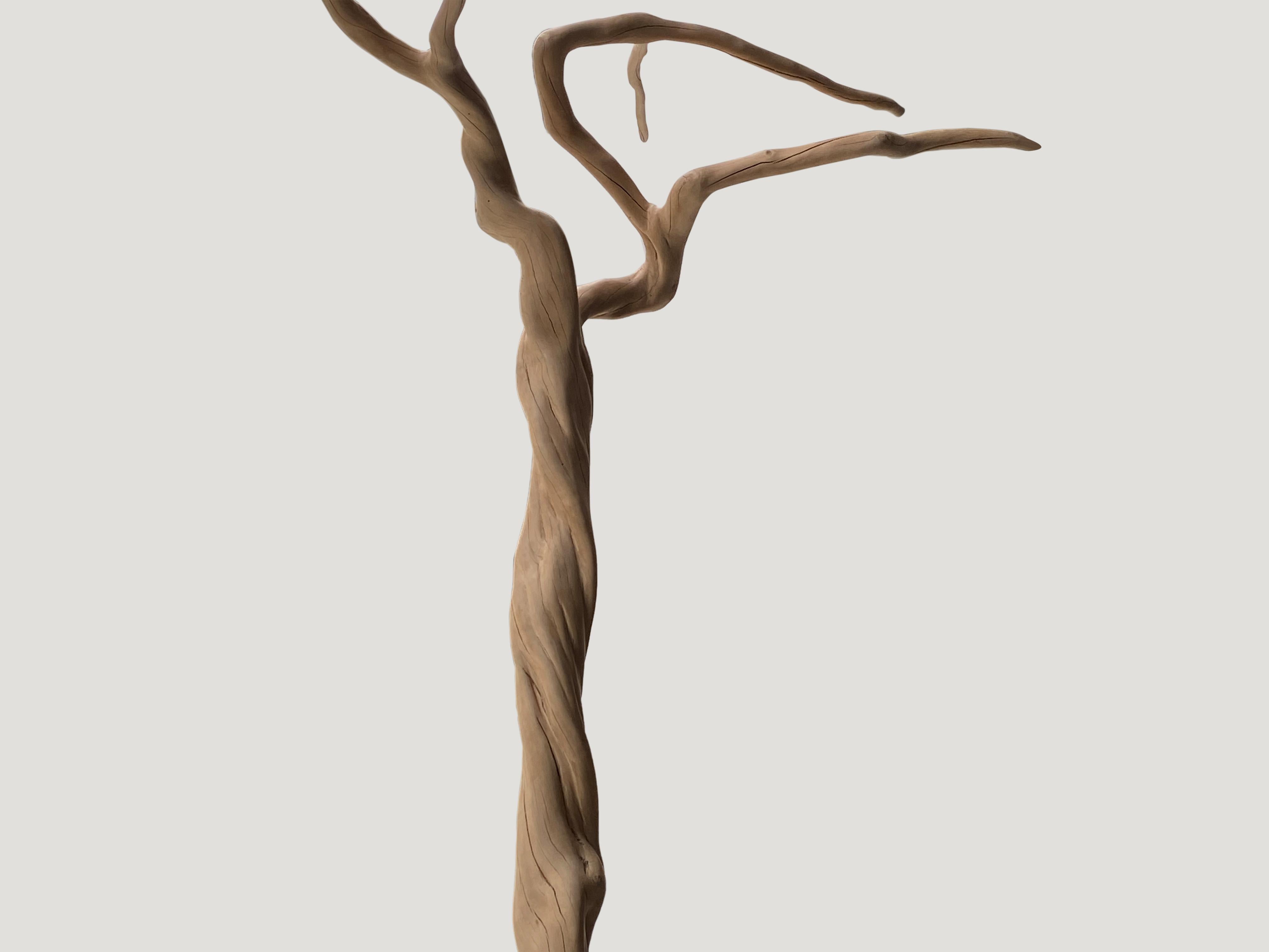 Coffee tree sculpture. Bleached, sanded and set on a modern black steel base.

Andrianna Shamaris. The Leader In Modern Organic Design.