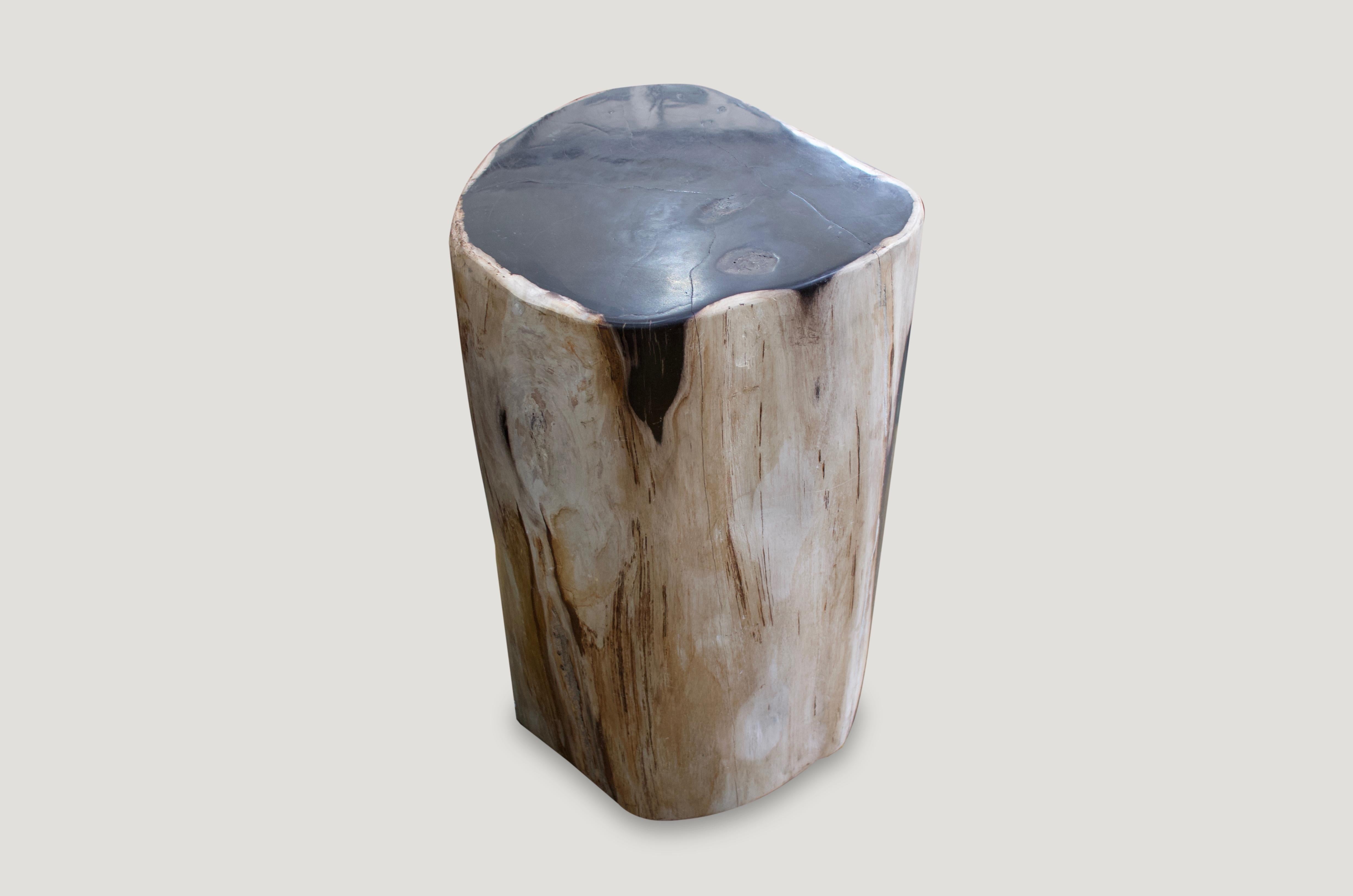 Andrianna Shamaris Contrasting Colored Petrified Wood Side Table In Excellent Condition In New York, NY