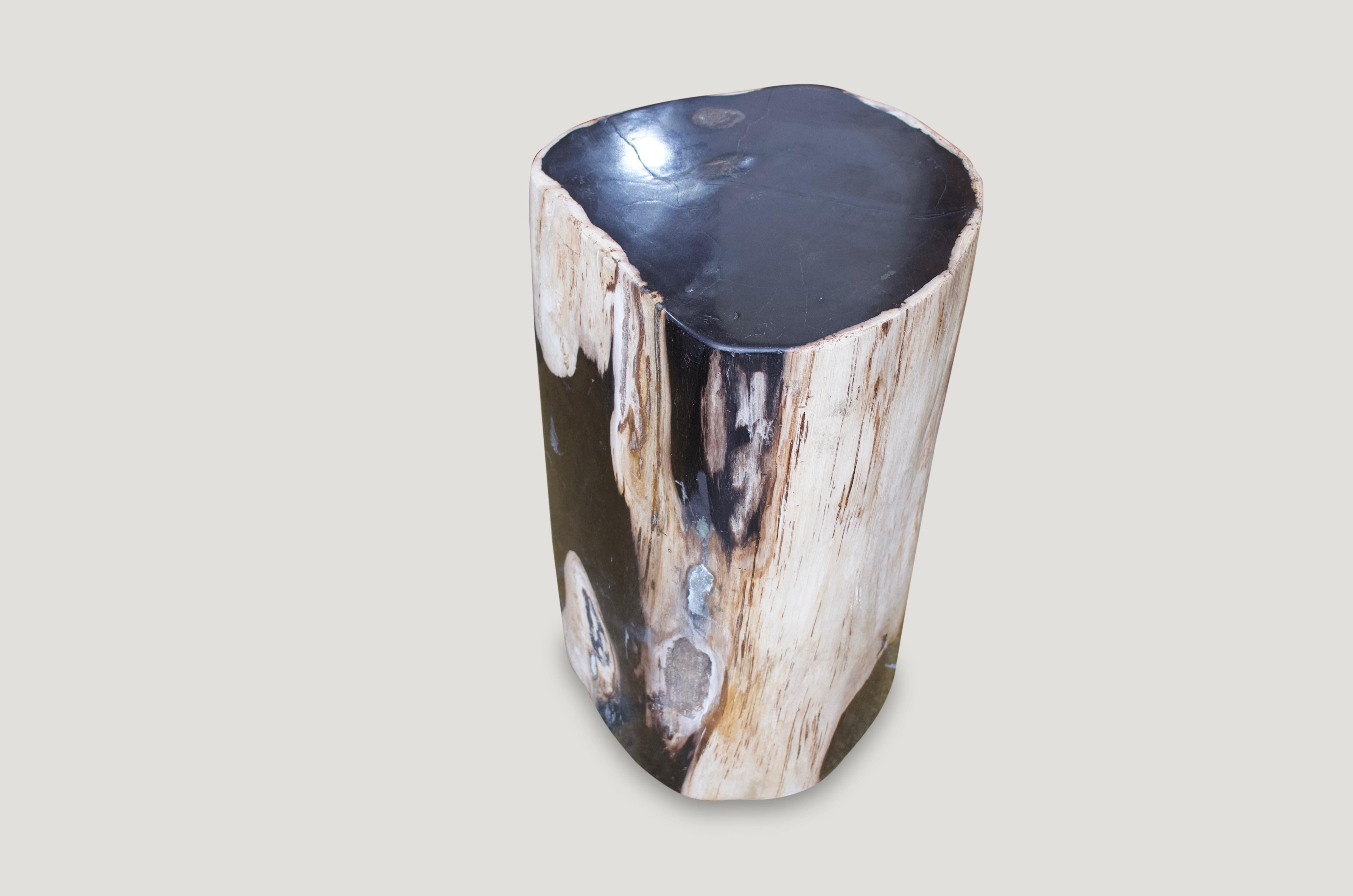 18th Century and Earlier Andrianna Shamaris Contrasting Colored Petrified Wood Side Table