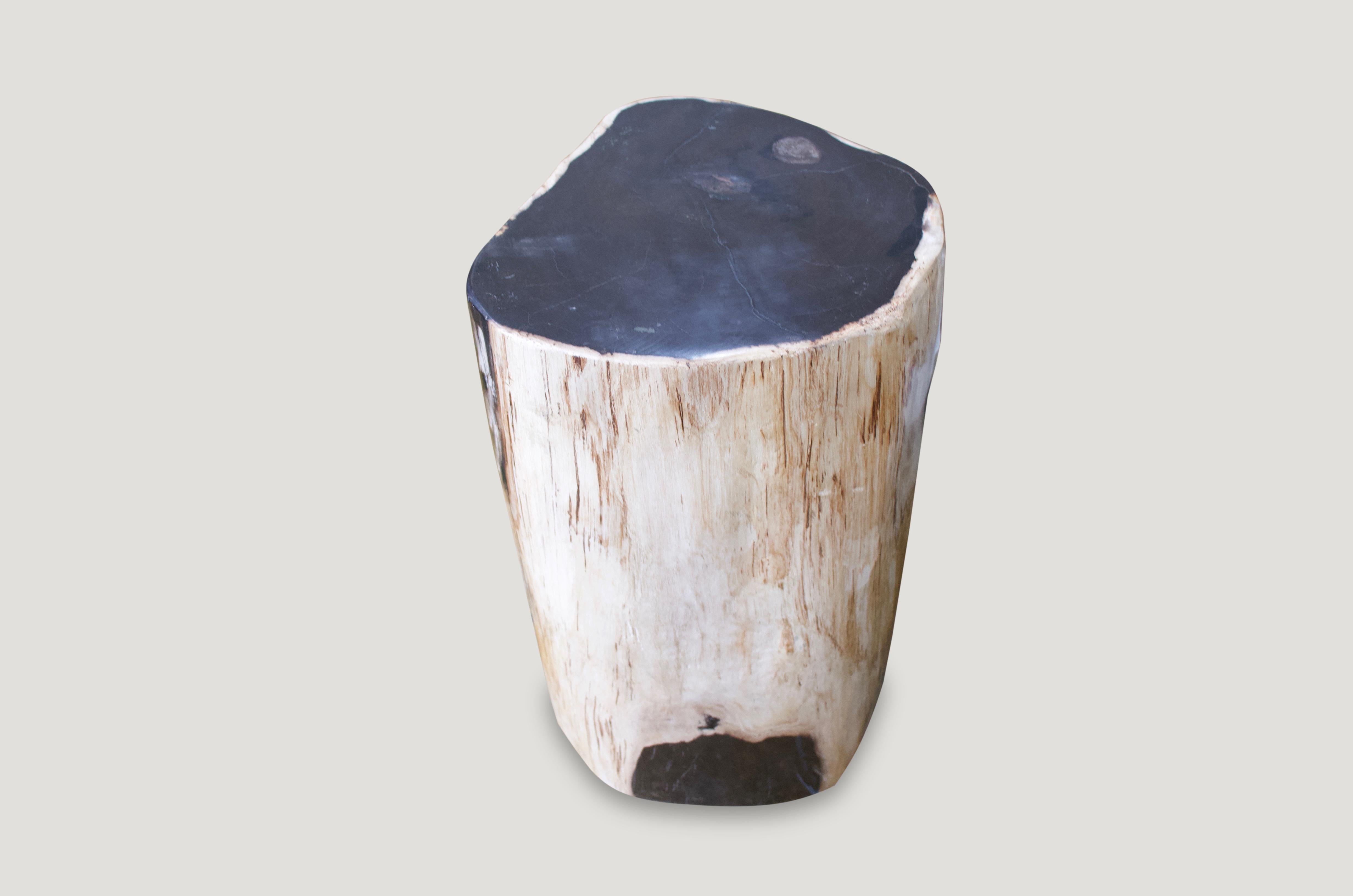 Andrianna Shamaris Contrasting Colored Petrified Wood Side Table 1
