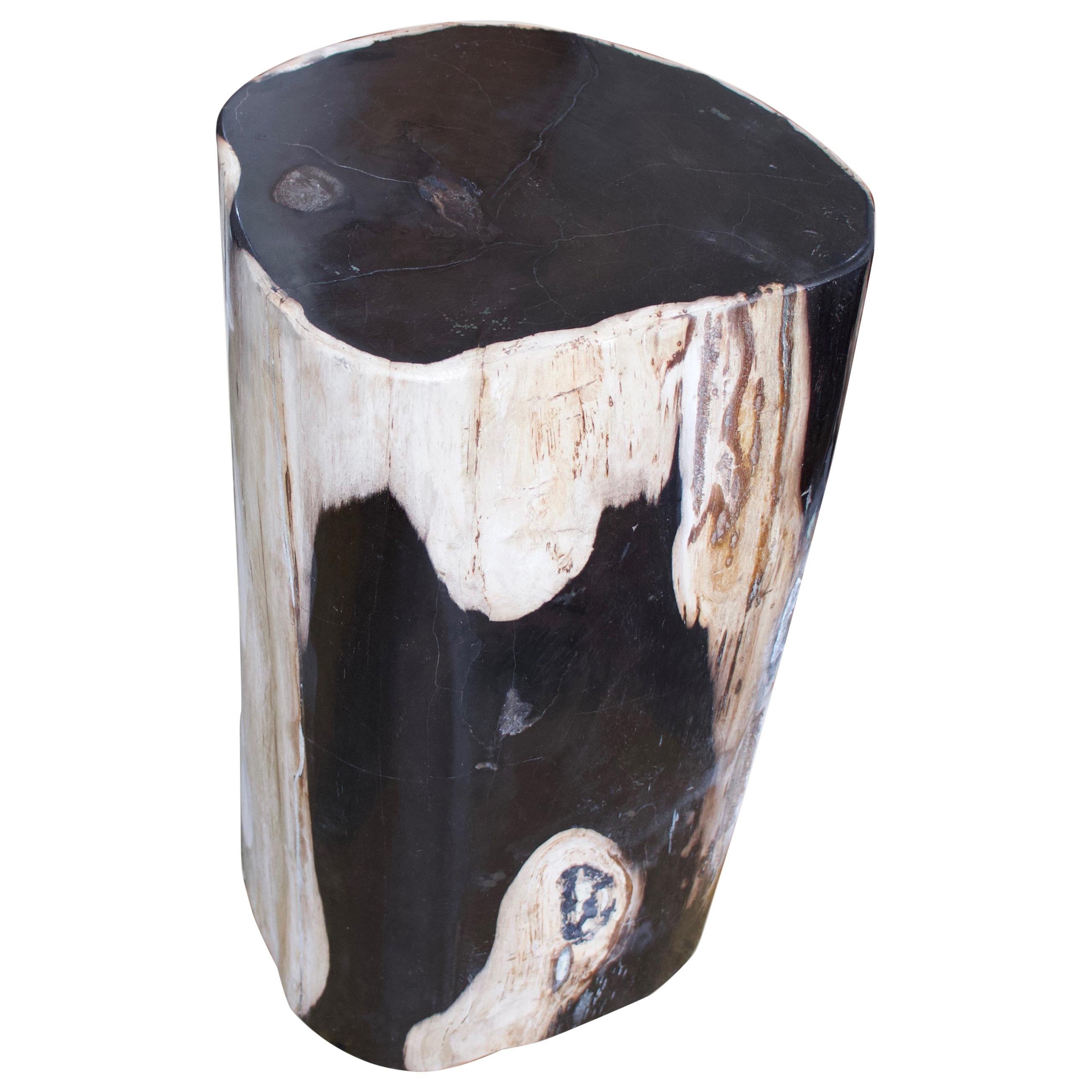 Andrianna Shamaris Contrasting Colored Petrified Wood Side Table