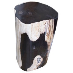 Andrianna Shamaris Contrasting Colored Petrified Wood Side Table