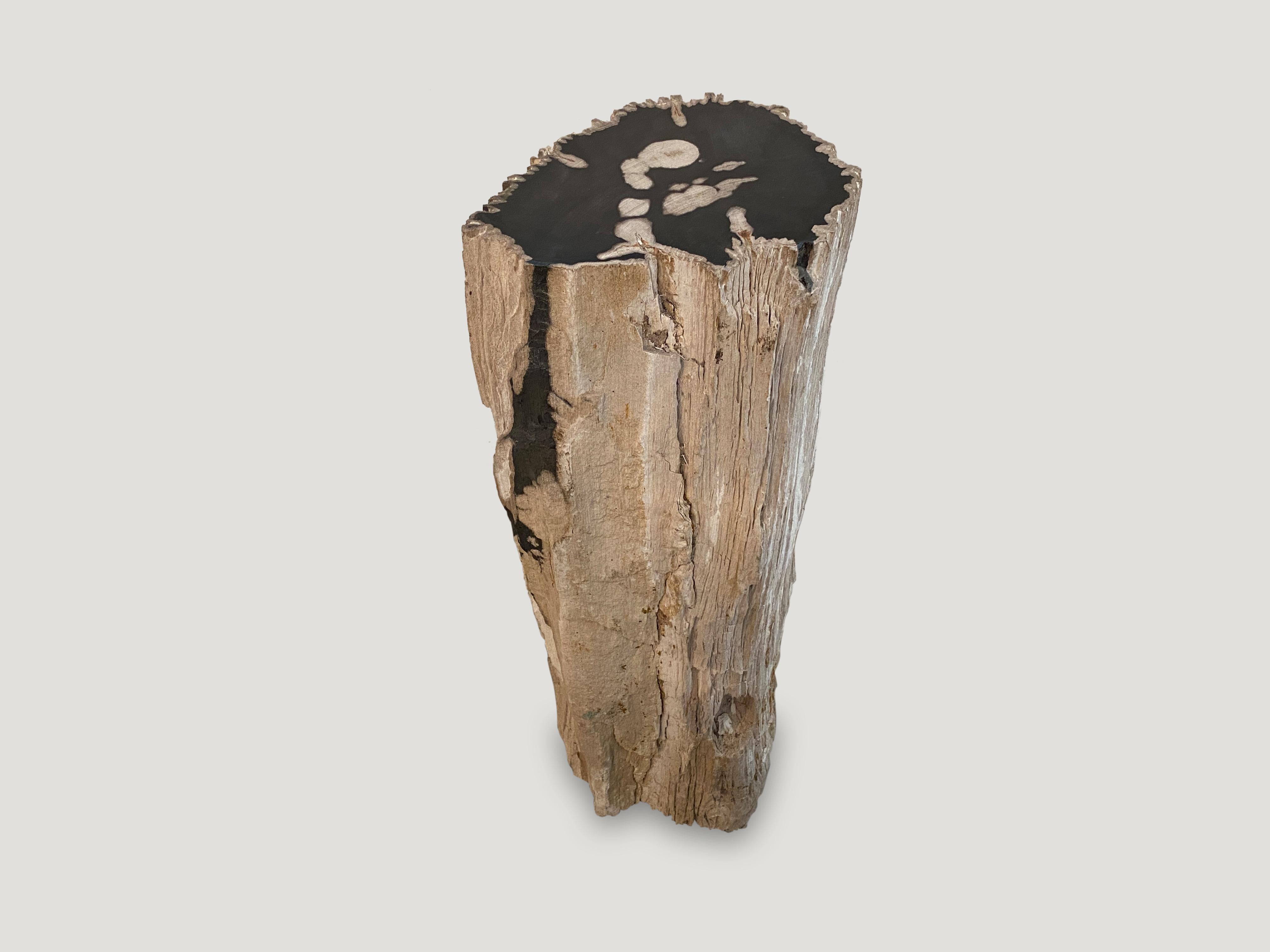 Organic Modern Andrianna Shamaris Contrasting Raw and Polished Petrified Wood Pedestal
