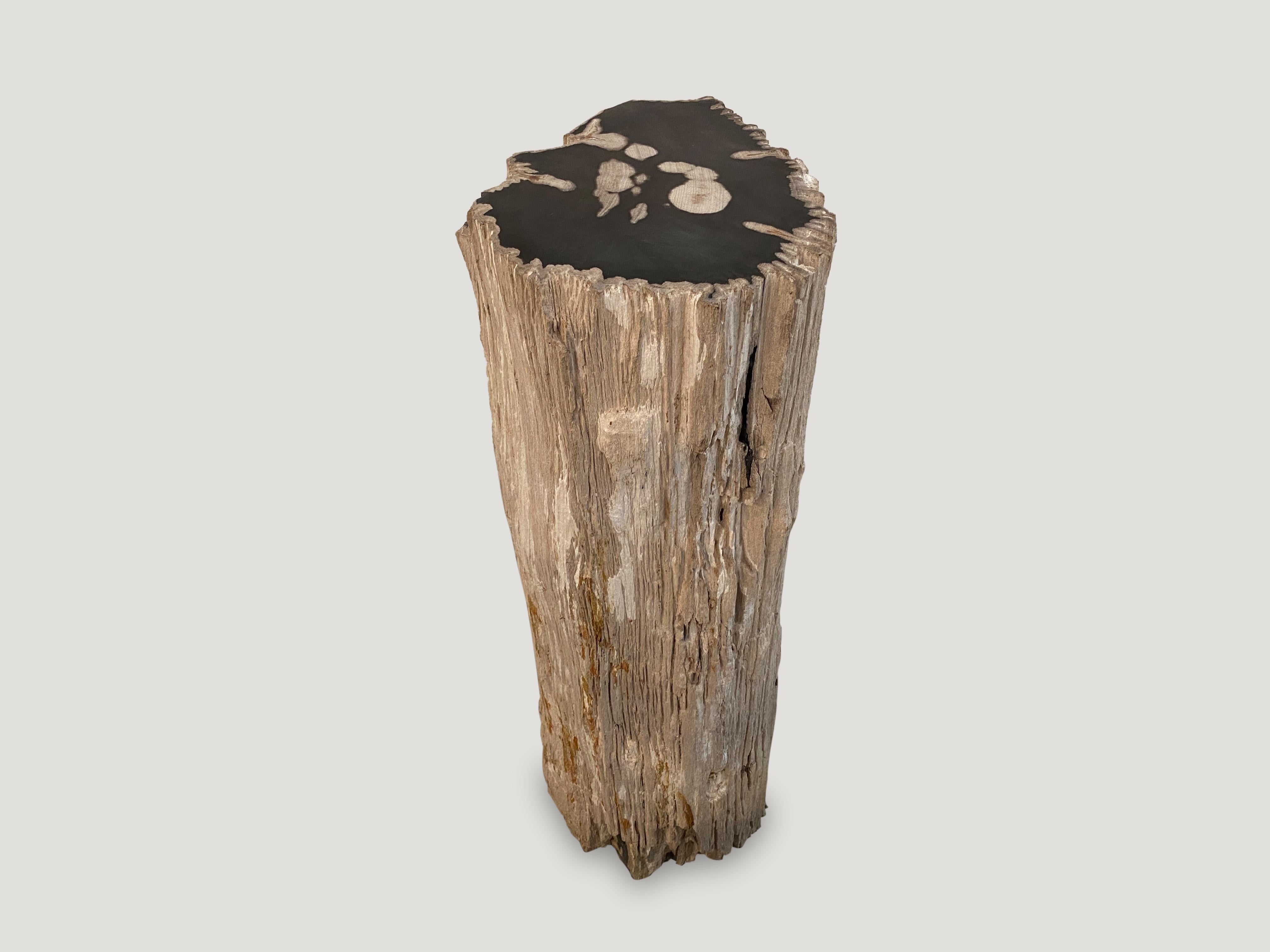 Andrianna Shamaris Contrasting Raw and Polished Petrified Wood Pedestal In Excellent Condition In New York, NY