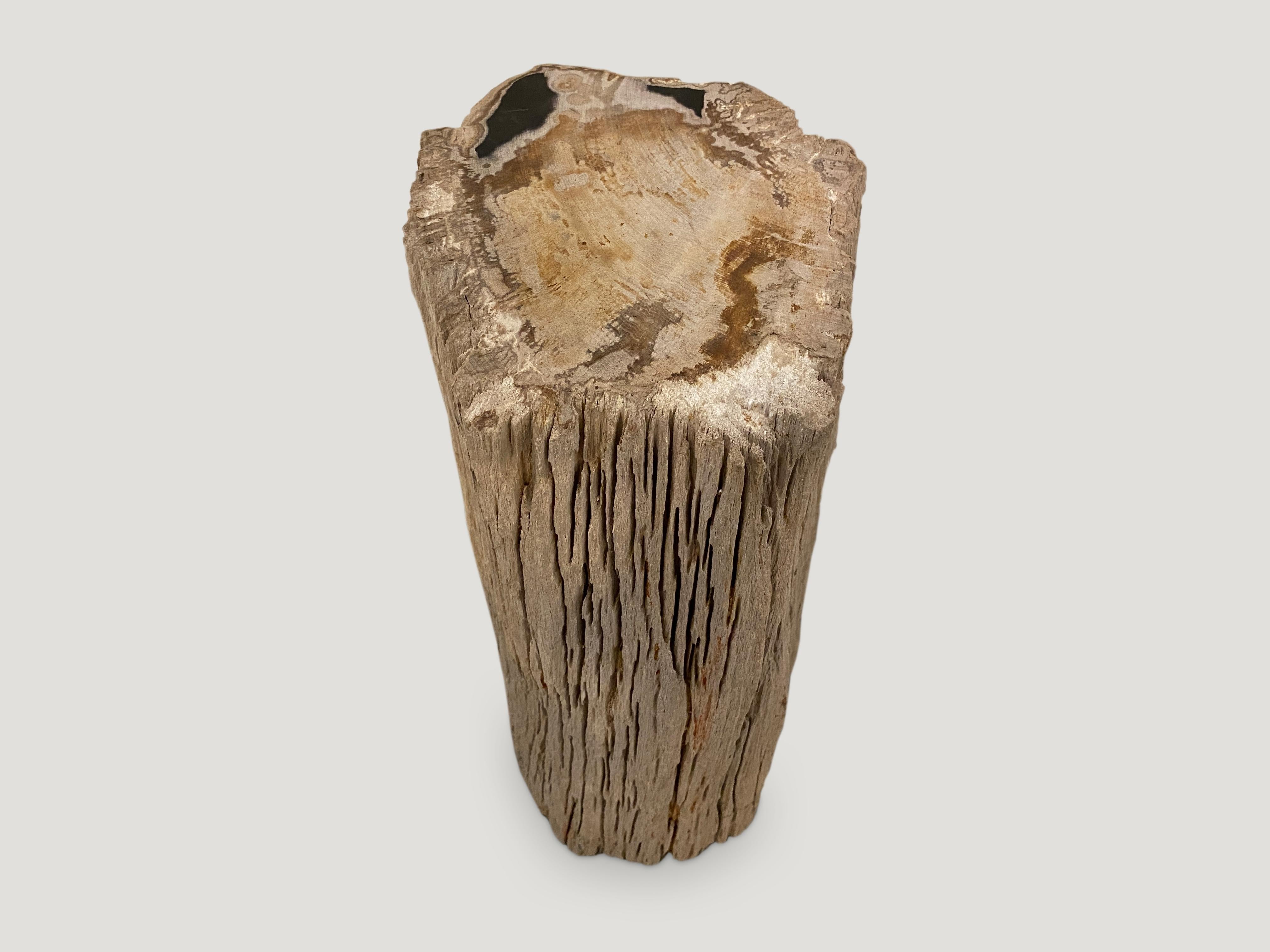 We have left the sides raw and polished the top of this petrified wood side table.

As with a diamond, we polish the highest quality fossilized petrified wood, using our latest ground breaking technology, to reveal its natural beauty and
