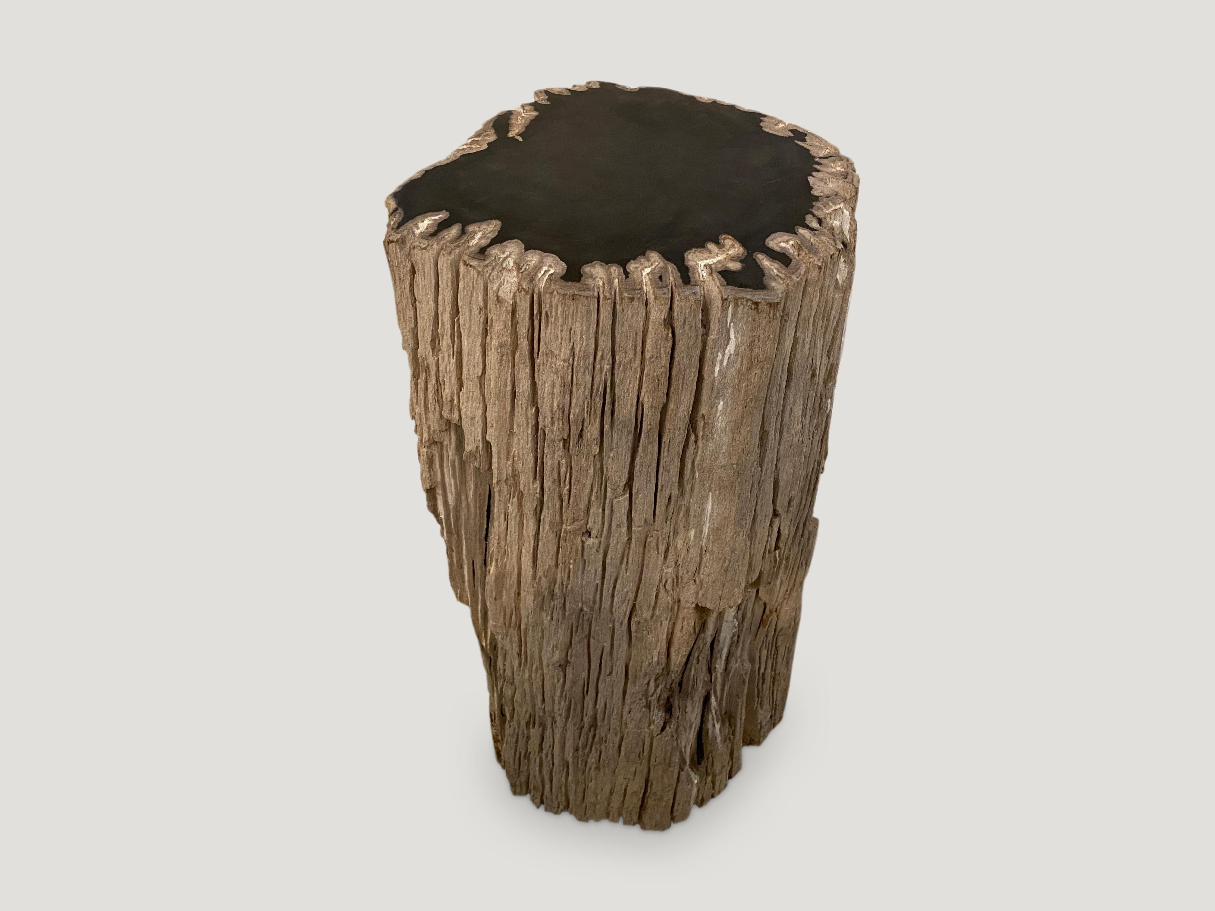 We have left the sides raw and polished the top of this petrified wood side table. 

As with a diamond, we polish the highest quality fossilized petrified wood, using our latest ground breaking technology, to reveal its natural beauty and