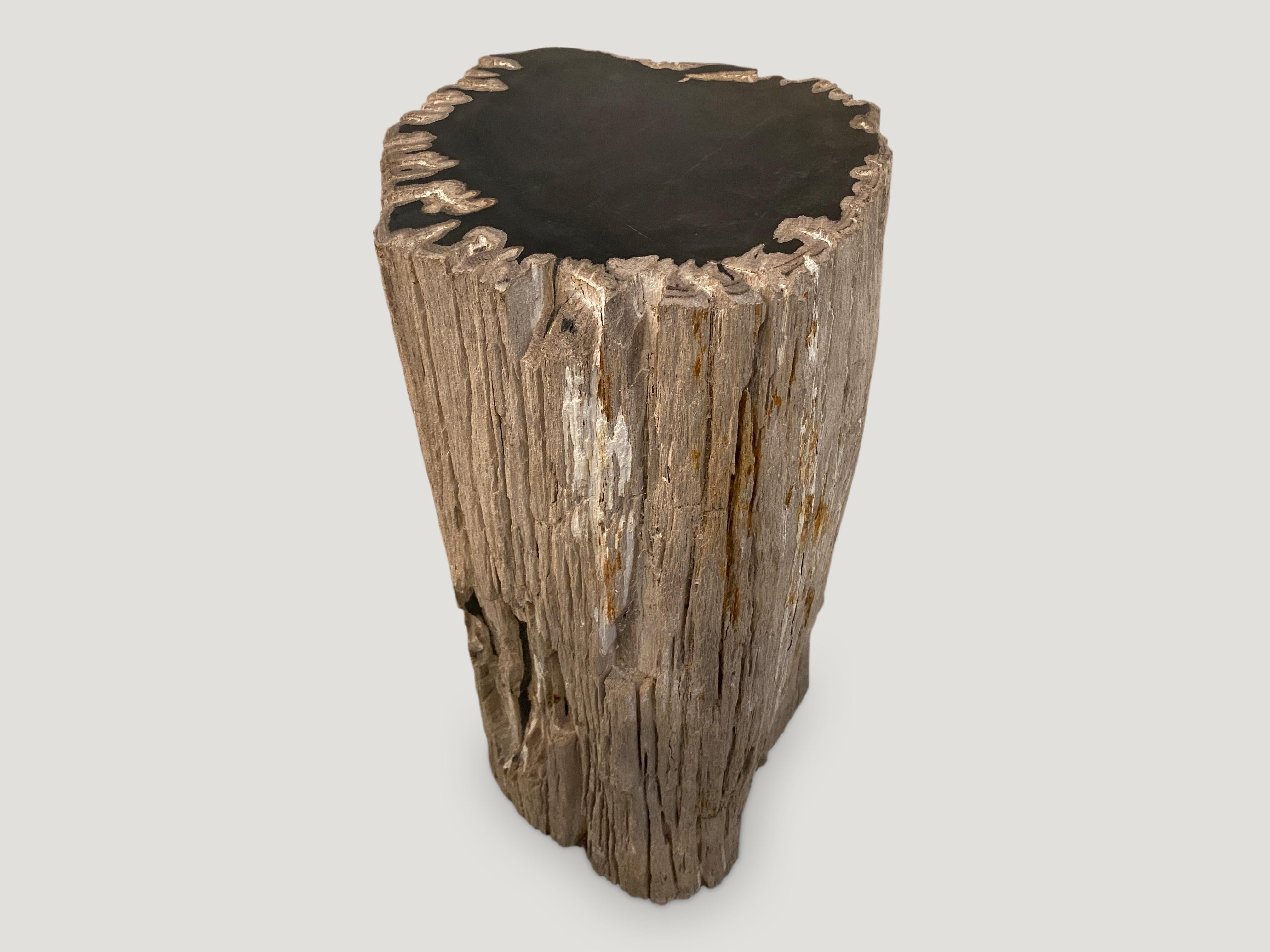 Organic Modern Andrianna Shamaris Contrasting Raw and Polished Petrified Wood Side Table