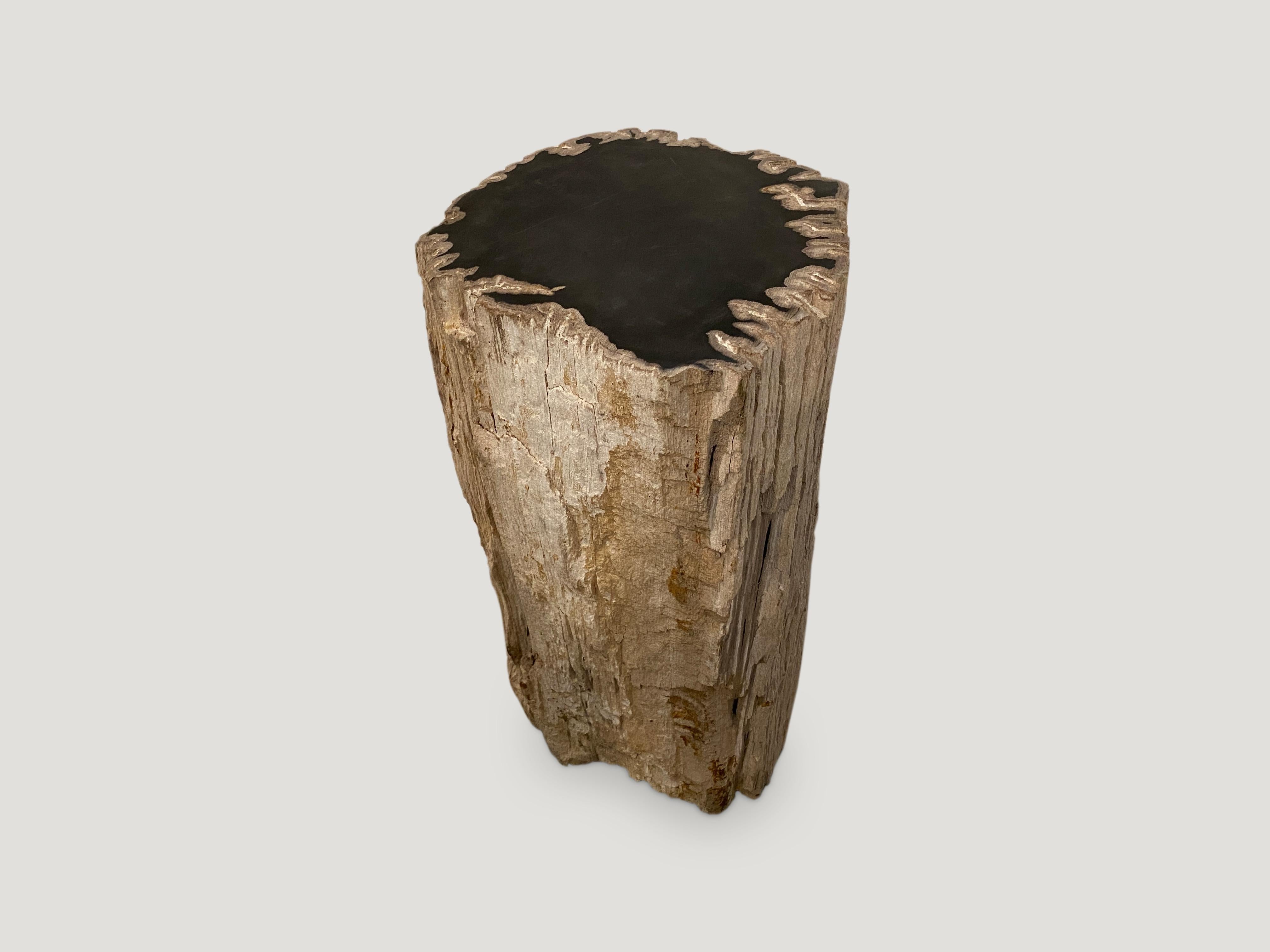 Andrianna Shamaris Contrasting Raw and Polished Petrified Wood Side Table In Excellent Condition In New York, NY