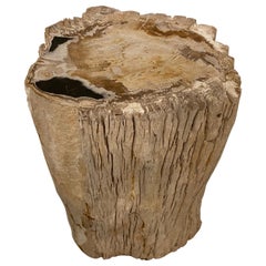 Andrianna Shamaris Contrasting Raw and Polished Petrified Wood Side Table