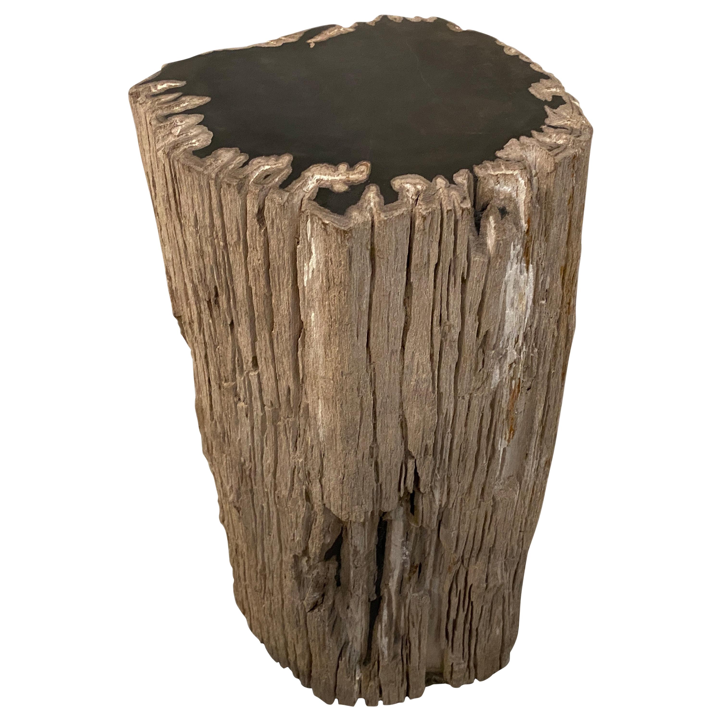 Andrianna Shamaris Contrasting Raw and Polished Petrified Wood Side Table