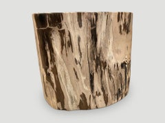Andrianna Shamaris Contrasting Toned Ancient Petrified Wood Side Table