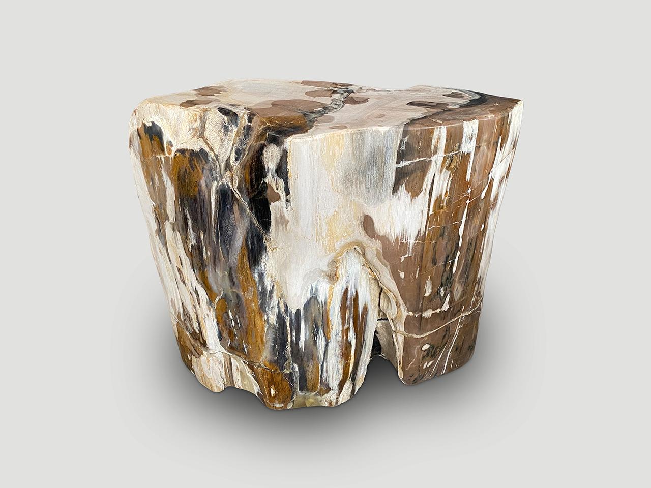 Impressive ancient petrified wood side table. It’s fascinating how Mother Nature produces these stunning 40 million year old petrified teak logs with such contrasting colors and natural patterns throughout. This one has the rock formation on one