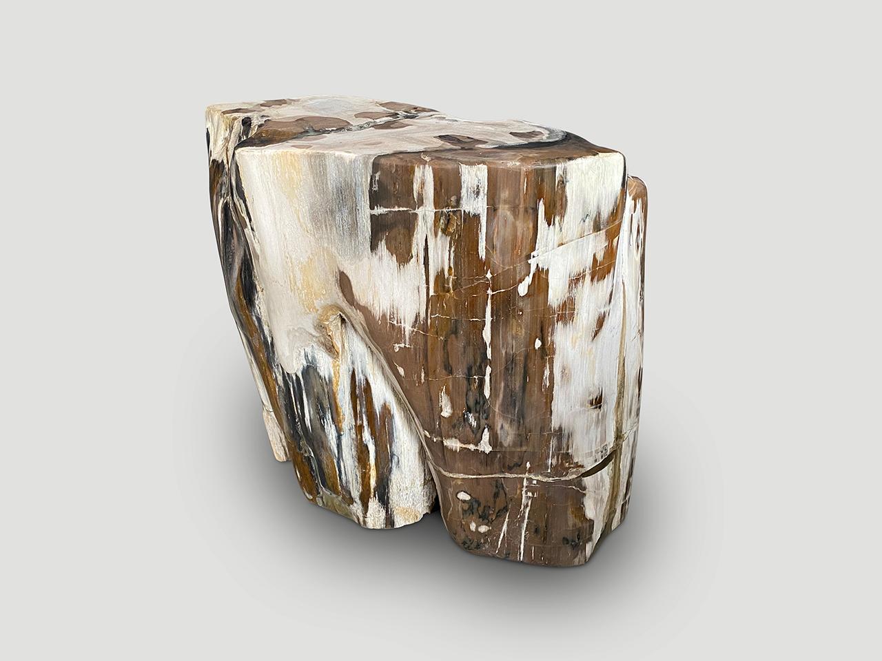 Organic Modern Andrianna Shamaris Contrasting Toned Ancient Petrified Wood Side Table For Sale