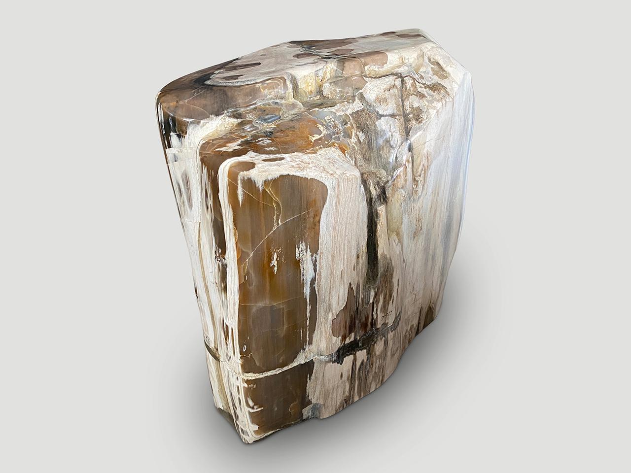 Andrianna Shamaris Contrasting Toned Ancient Petrified Wood Side Table In Excellent Condition For Sale In New York, NY