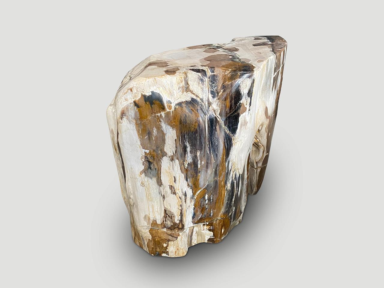 Contemporary Andrianna Shamaris Contrasting Toned Ancient Petrified Wood Side Table For Sale
