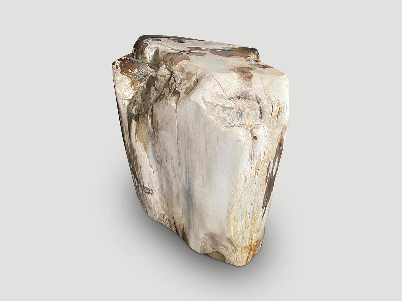 Andrianna Shamaris Contrasting Toned Ancient Petrified Wood Side Table For Sale 1