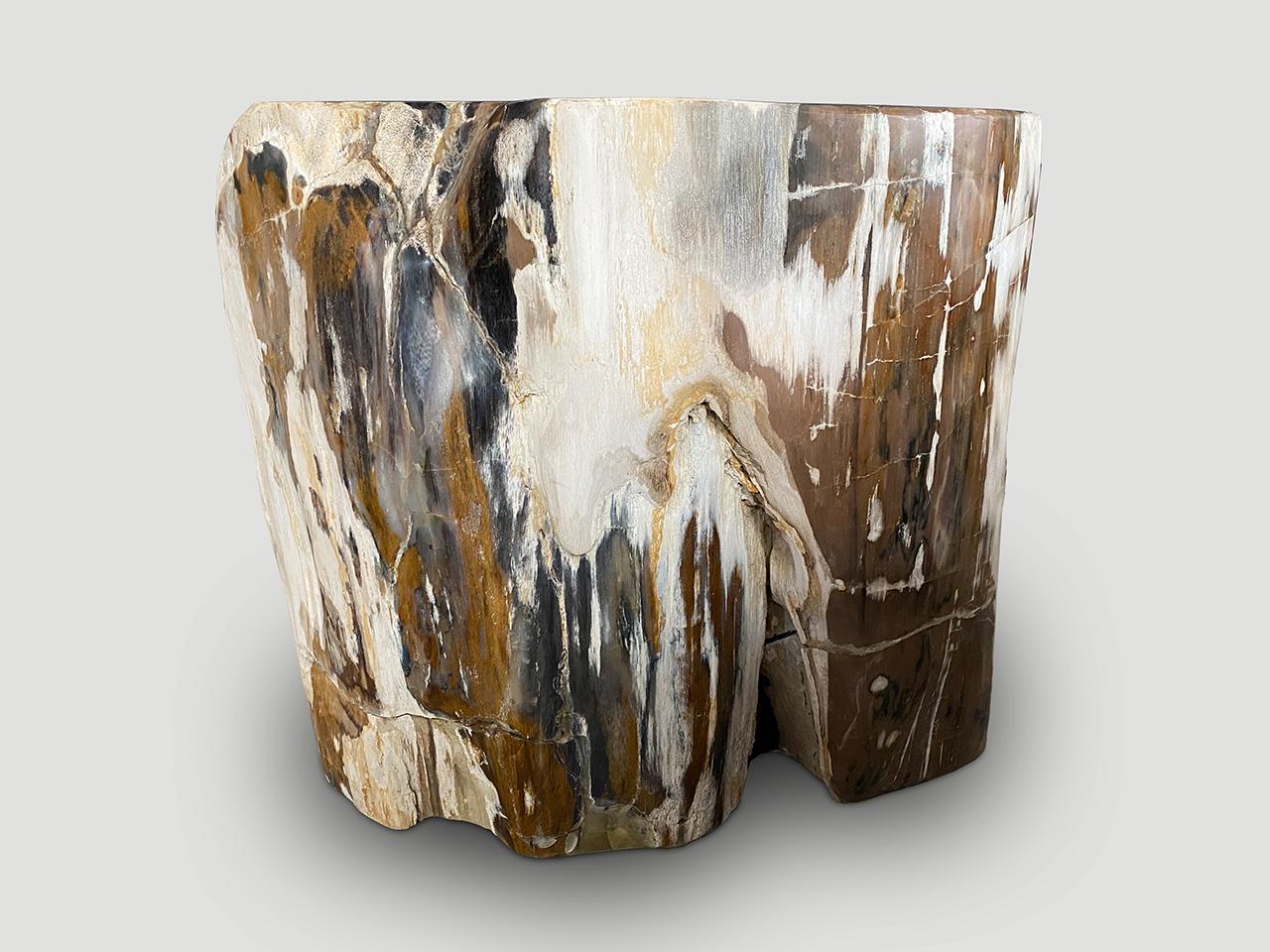 Andrianna Shamaris Contrasting Toned Ancient Petrified Wood Side Table For Sale 2