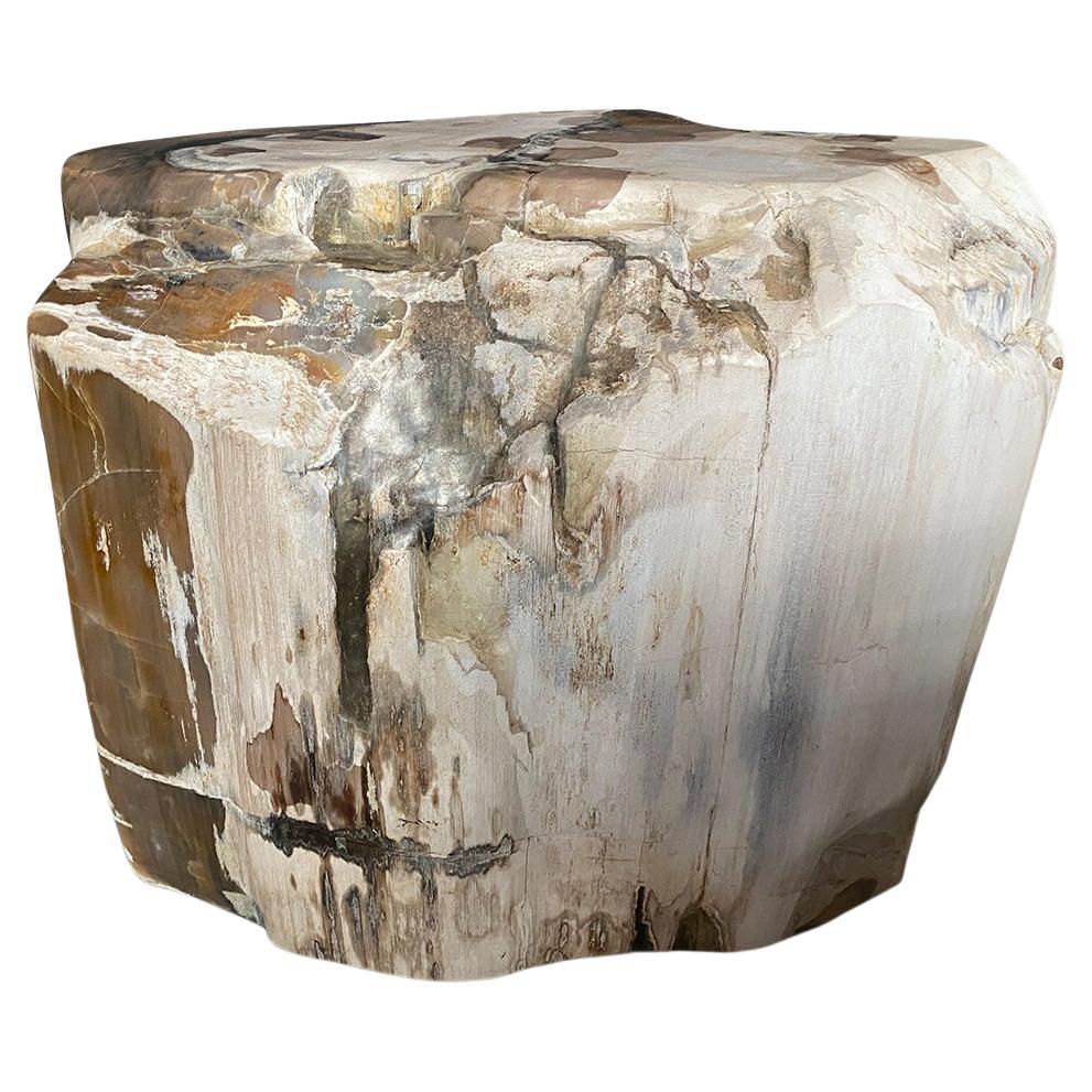 Andrianna Shamaris Contrasting Toned Ancient Petrified Wood Side Table For Sale