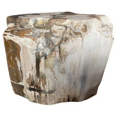 Andrianna Shamaris Contrasting Toned Ancient Petrified Wood Side Table