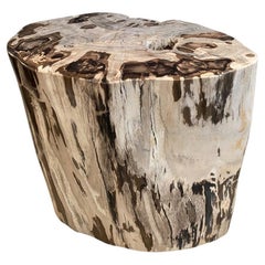 Andrianna Shamaris Contrasting Toned Ancient Petrified Wood Side Table