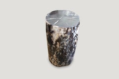 Andrianna Shamaris Contrasting Toned High Quality Petrified Wood Side Table