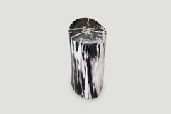 Andrianna Shamaris Contrasting Toned High Quality Petrified Wood Side Table