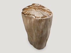 Andrianna Shamaris Contrasting Toned High Quality Petrified Wood Side Table
