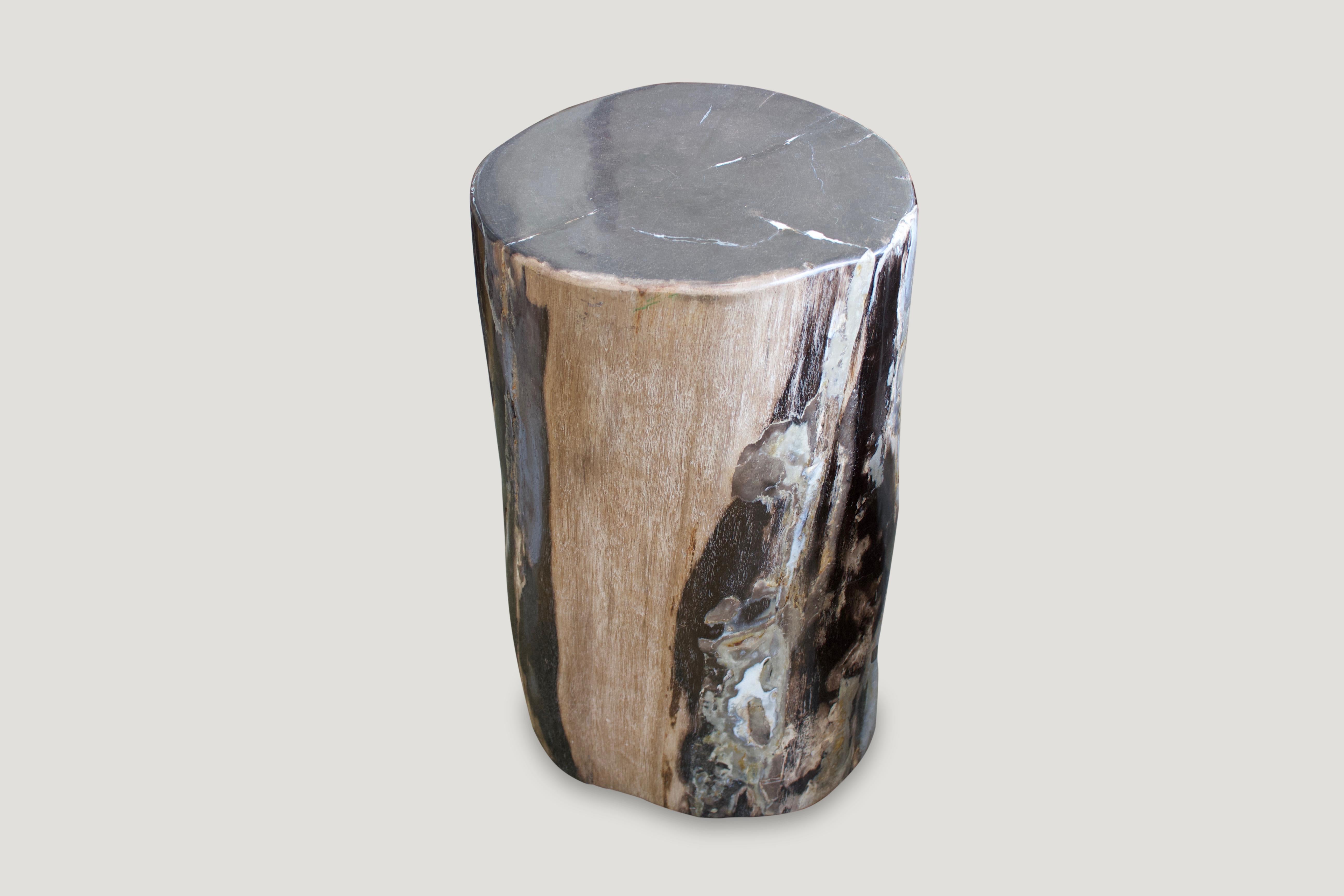 Organic Modern Andrianna Shamaris Contrasting Toned High Quality Petrified Wood Side Table