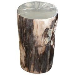 Antique Andrianna Shamaris Contrasting Toned High Quality Petrified Wood Side Table