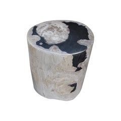 Antique Andrianna Shamaris Contrasting Toned High Quality Petrified Wood Side Table