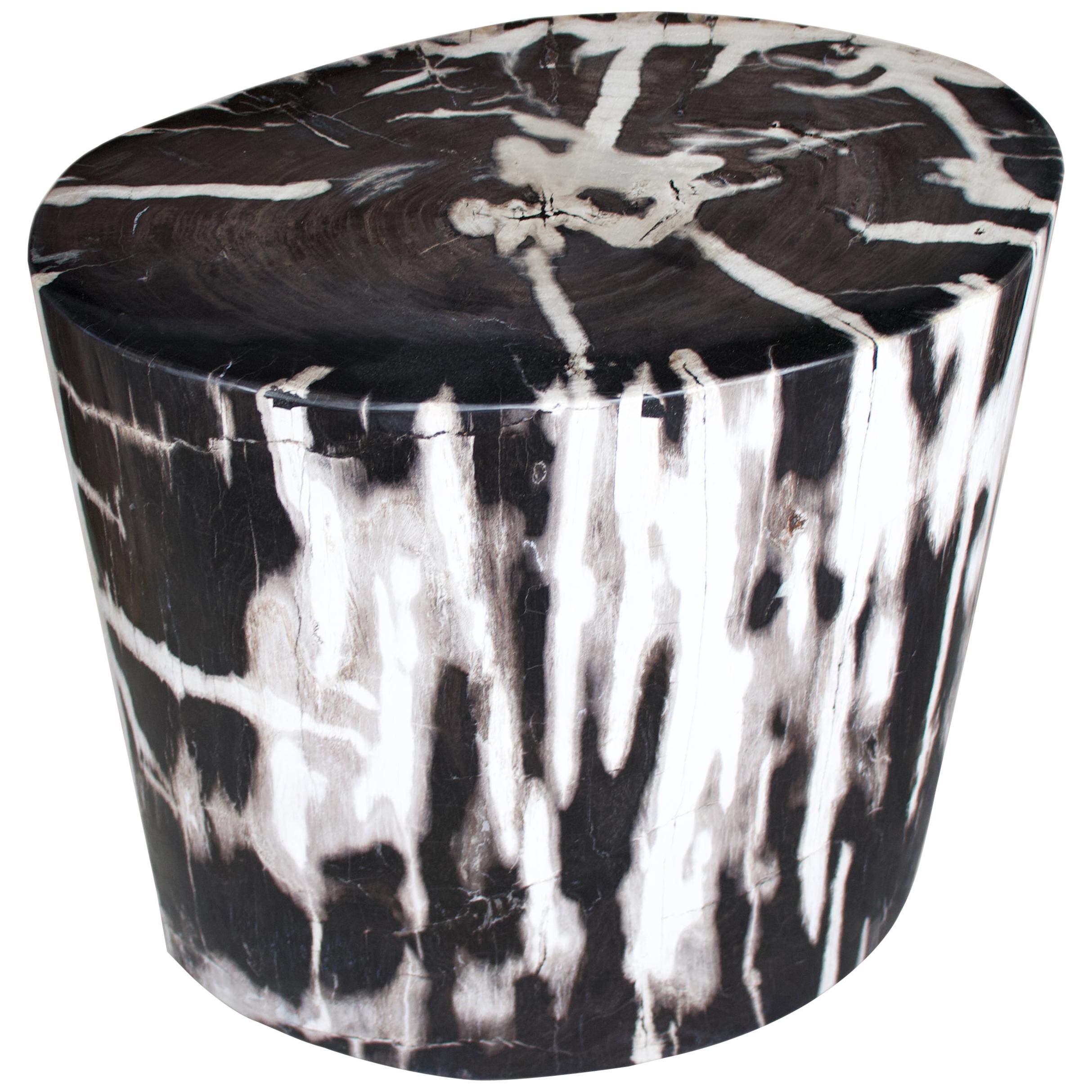 Andrianna Shamaris Contrasting Toned High Quality Petrified Wood Side Table