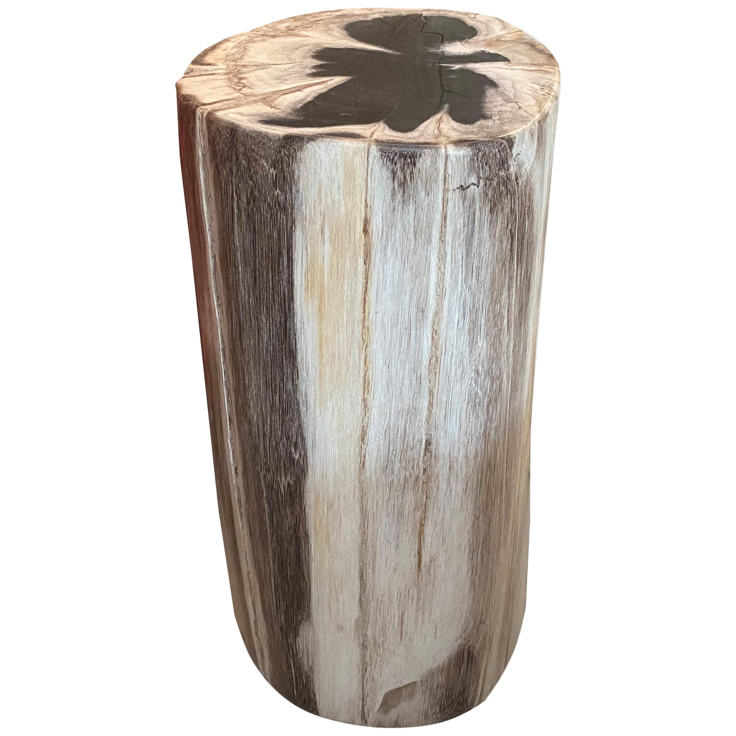 Andrianna Shamaris Contrasting Toned High Quality Petrified Wood Side Table