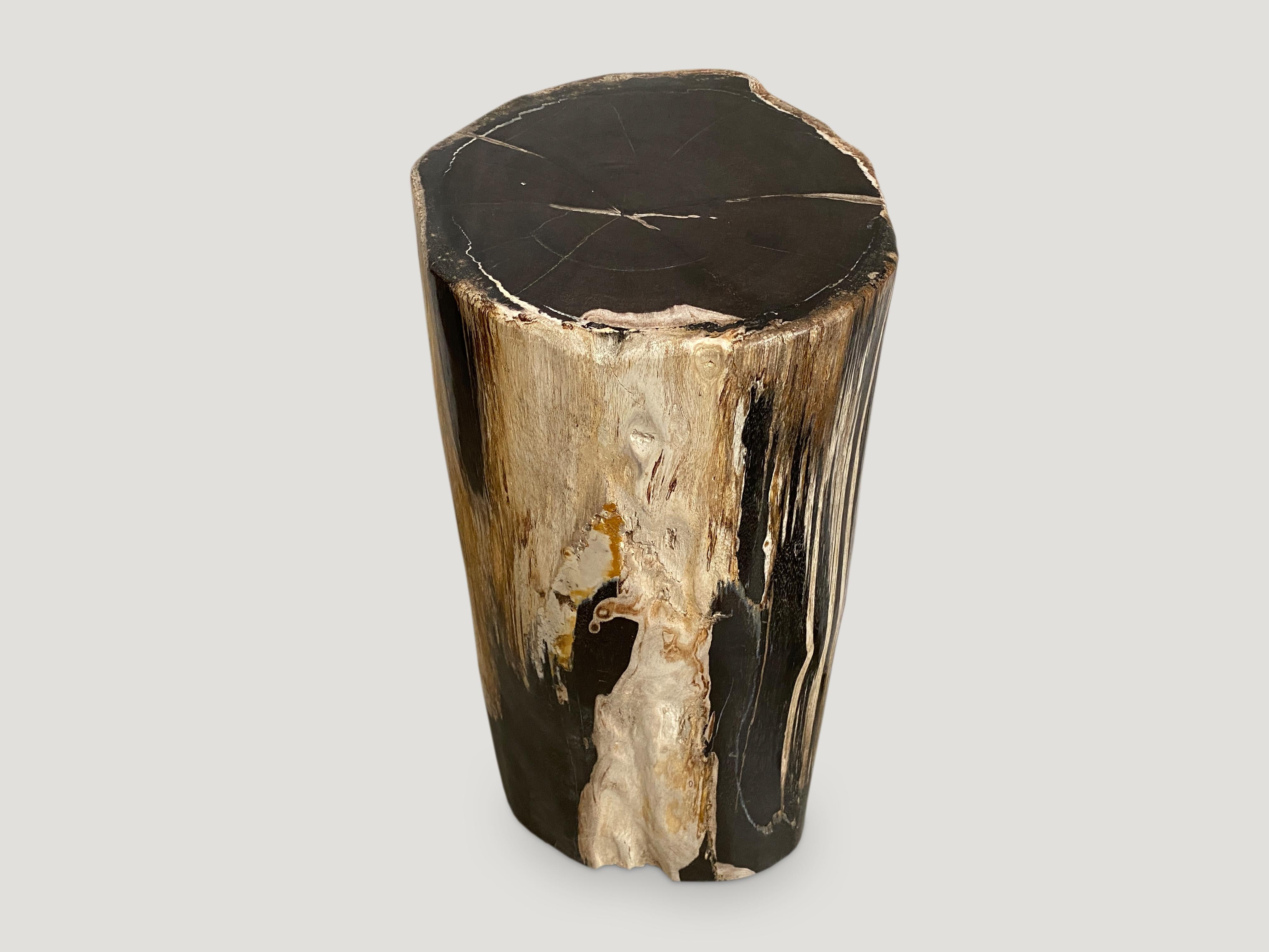 Petrified wood side table with dramatic contrasting tones. It’s fascinating how Mother Nature produces these stunning 40 million year old petrified teak logs with such contrasting colors with natural patterns throughout. Modern yet with so much