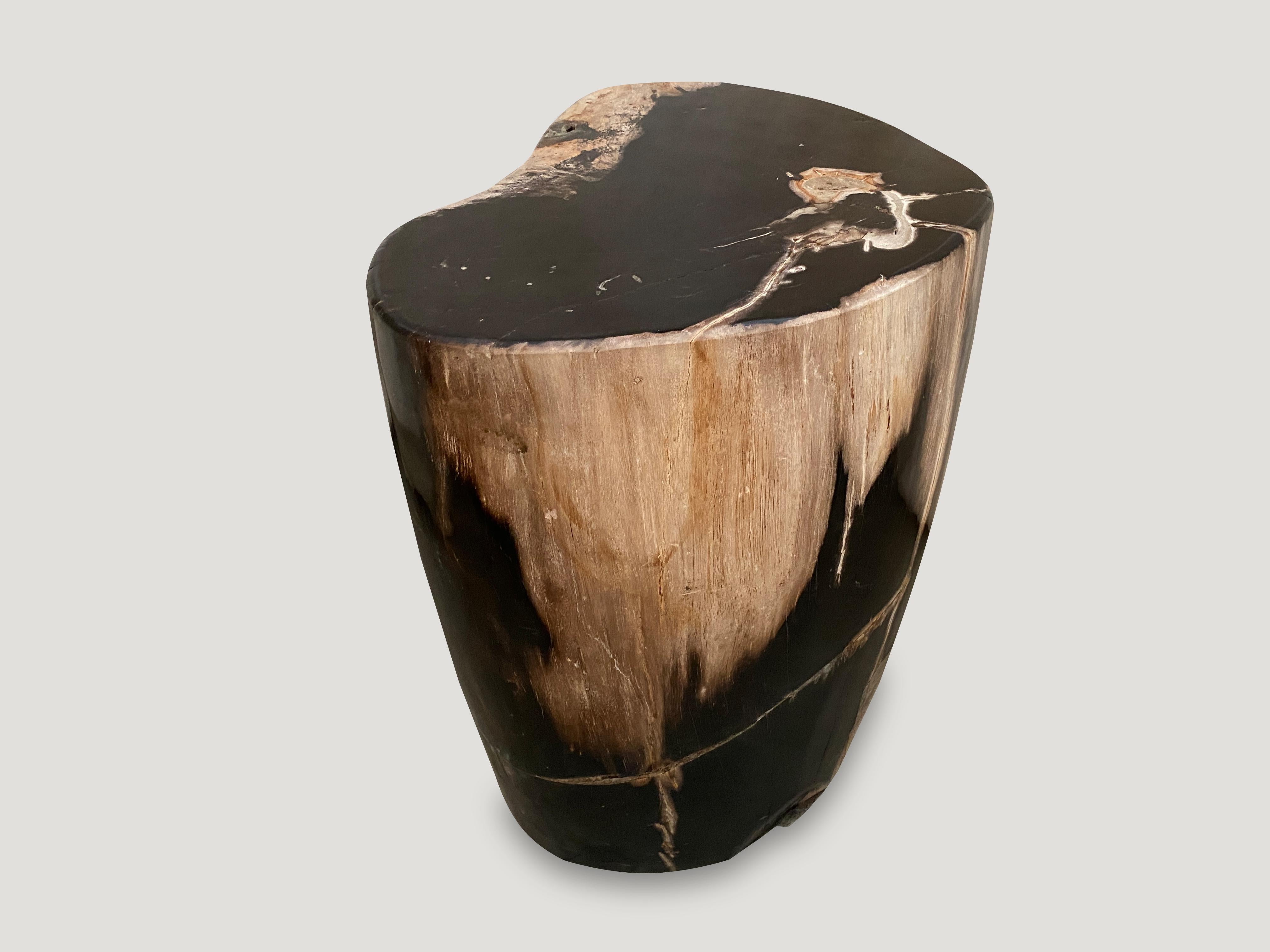 Petrified wood side table with dramatic contrasting tones. It’s fascinating how Mother Nature produces these stunning 40 million year old petrified teak logs with such contrasting colors with natural patterns throughout. Modern yet with so much