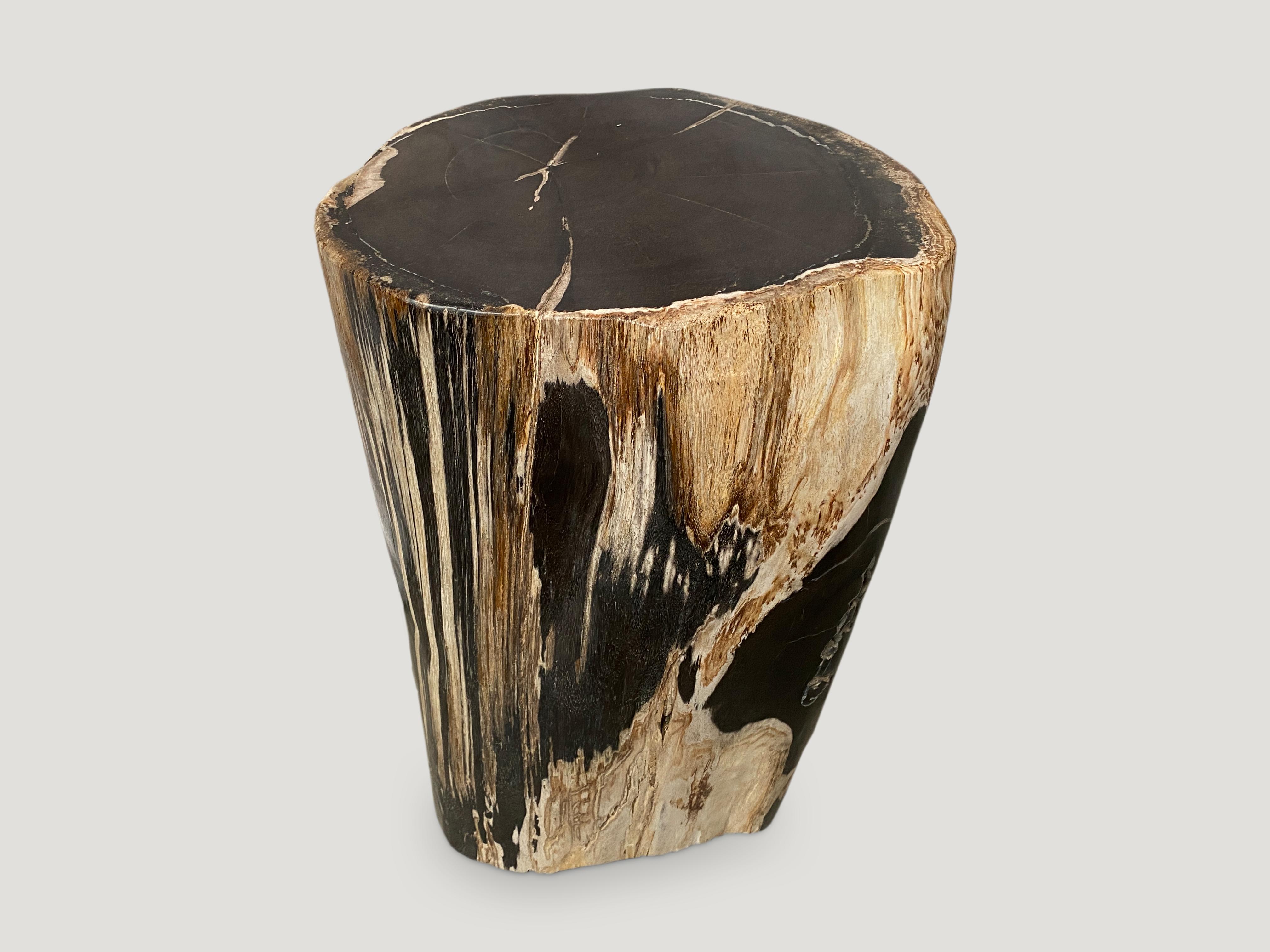 Organic Modern Andrianna Shamaris Contrasting Toned Petrified Wood Side Table