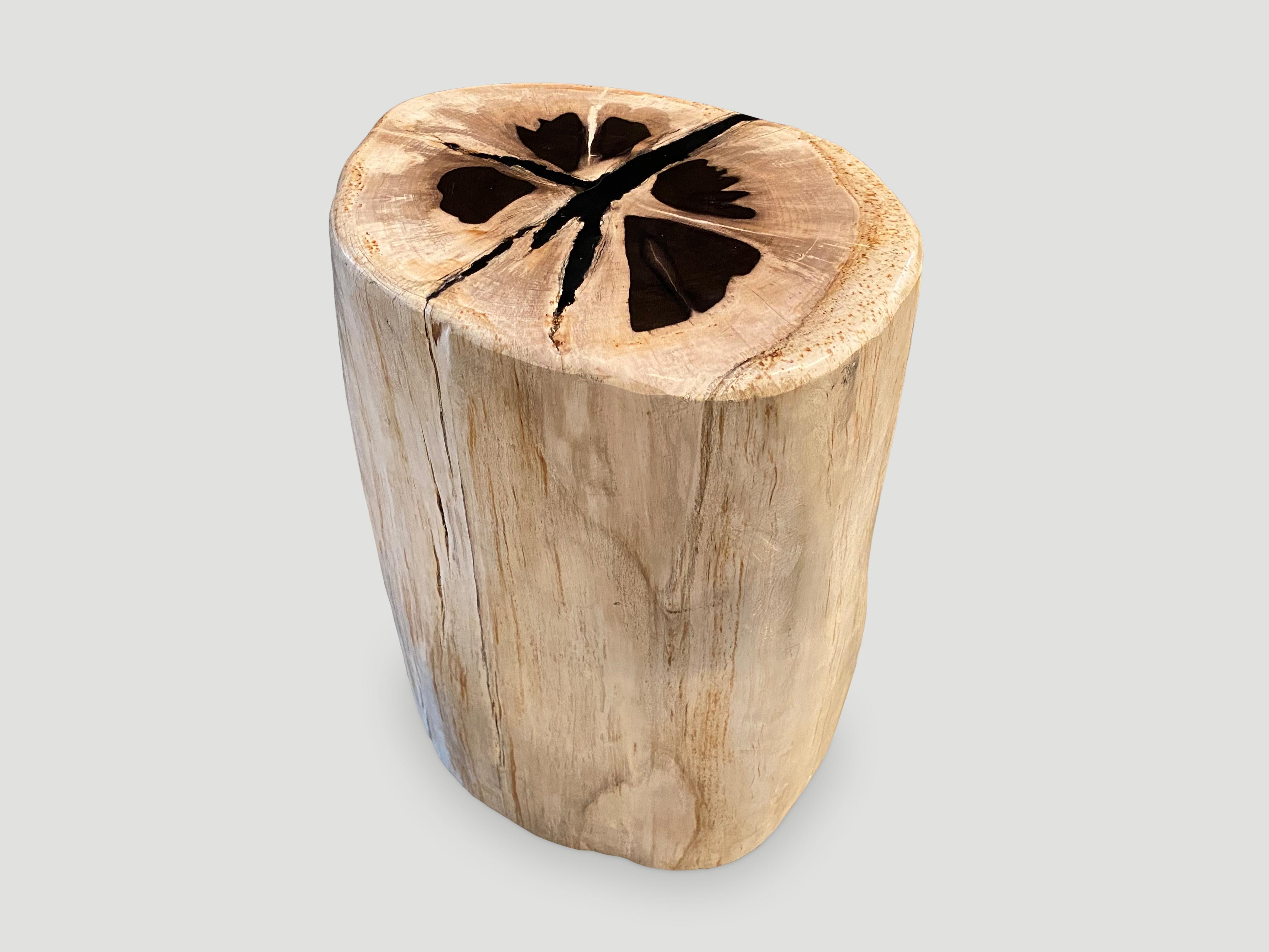 Organic Modern Andrianna Shamaris Contrasting Toned Petrified Wood Side Table For Sale