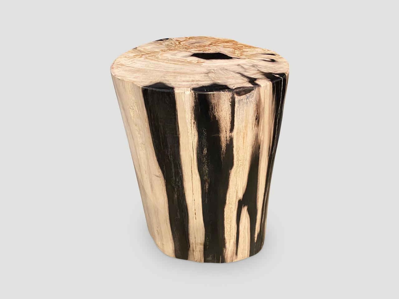 Organic Modern Andrianna Shamaris Contrasting Toned Petrified Wood Side Table