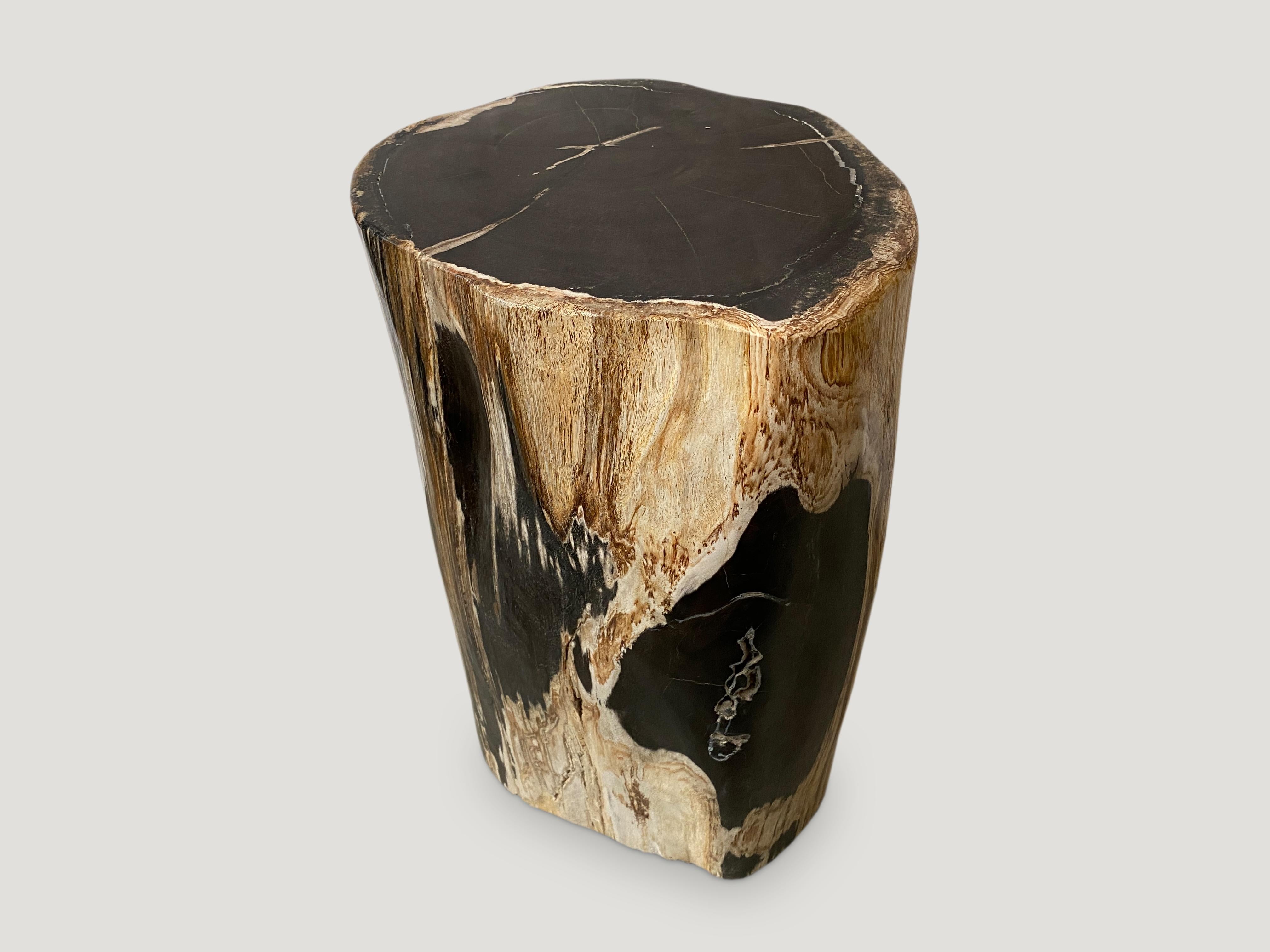 Andrianna Shamaris Contrasting Toned Petrified Wood Side Table In Excellent Condition In New York, NY