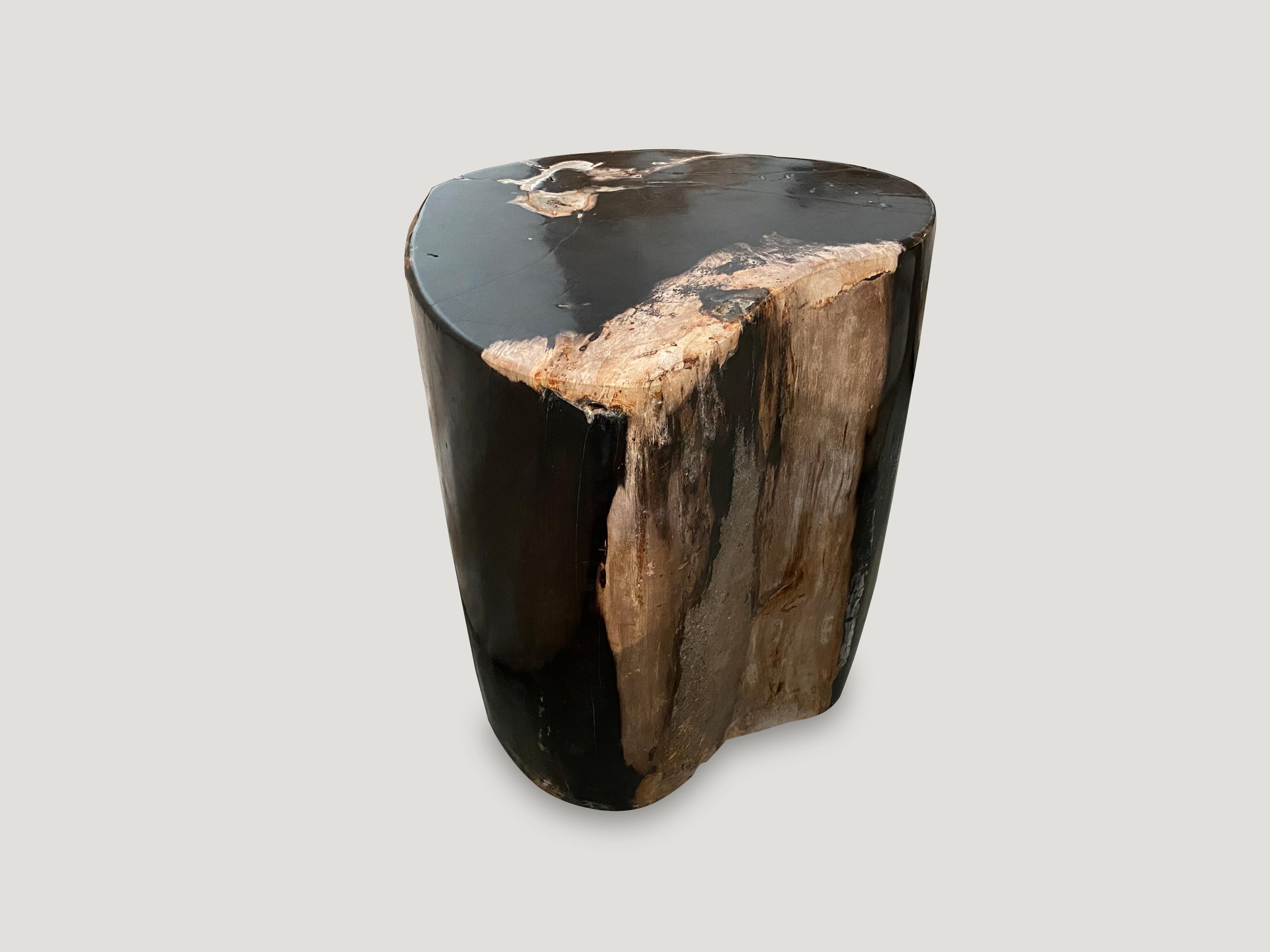 Andrianna Shamaris Contrasting Toned Petrified Wood Side Table In Excellent Condition In New York, NY