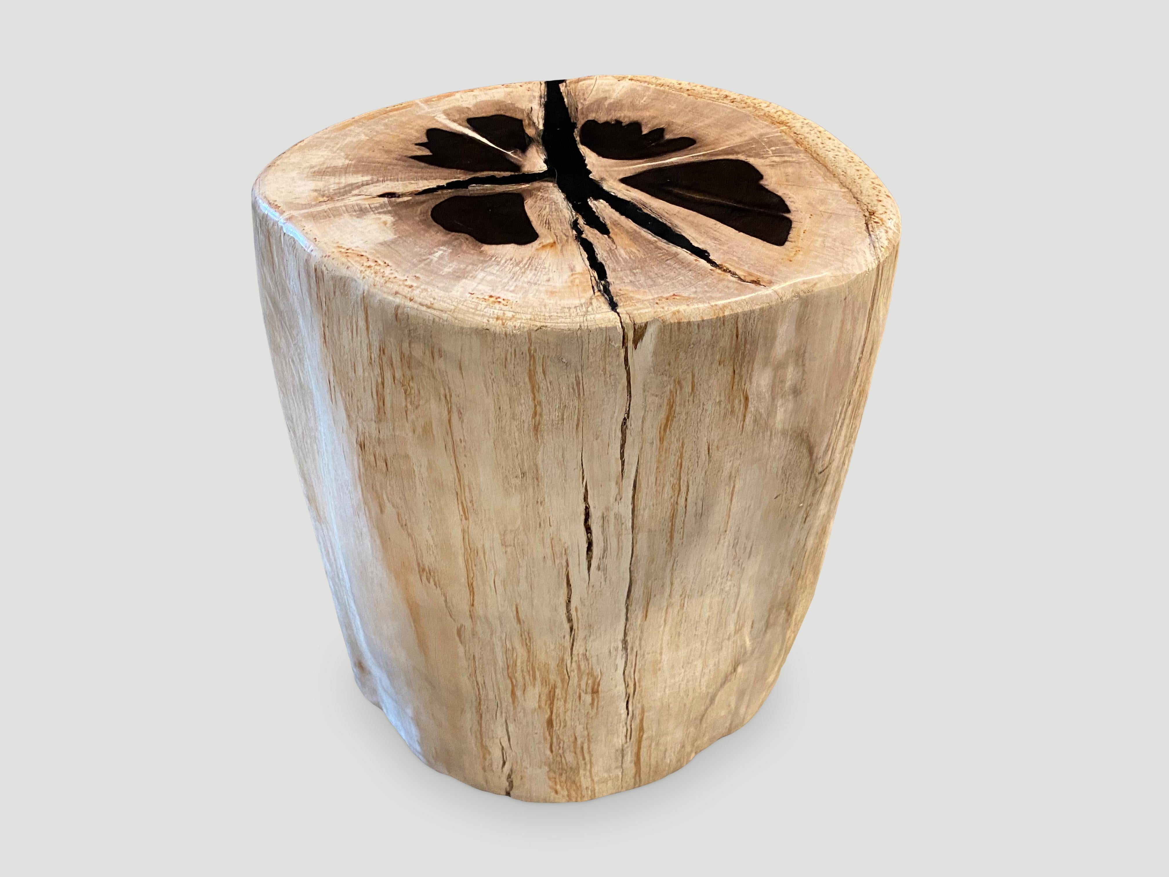 Andrianna Shamaris Contrasting Toned Petrified Wood Side Table For Sale 1