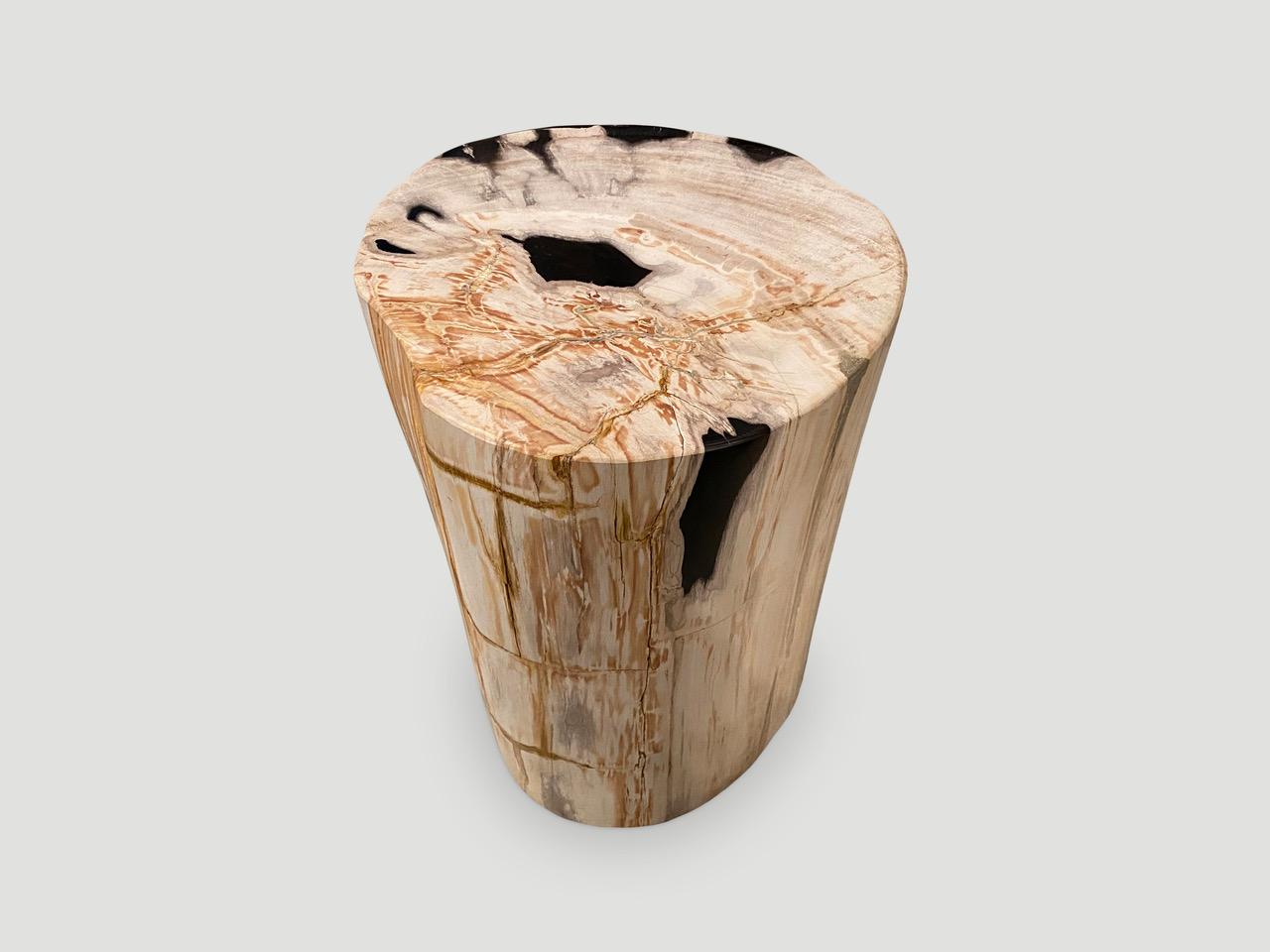 Andrianna Shamaris Contrasting Toned Petrified Wood Side Table 1