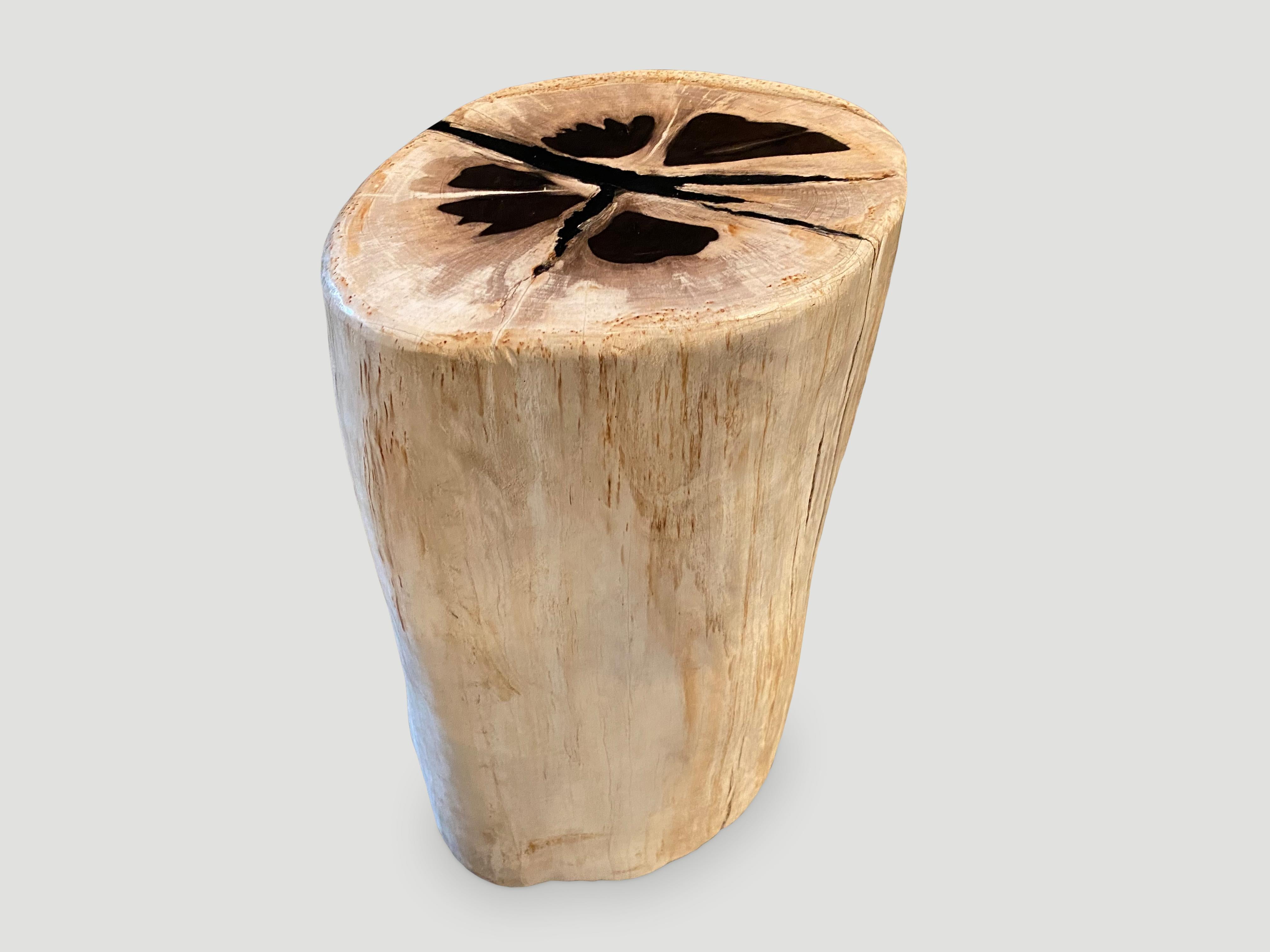 Andrianna Shamaris Contrasting Toned Petrified Wood Side Table For Sale 2