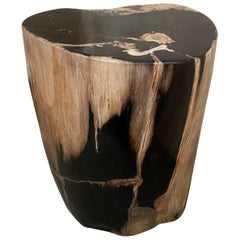 Andrianna Shamaris Contrasting Toned Petrified Wood Side Table