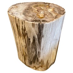 Andrianna Shamaris Contrasting Toned Petrified Wood Side Table with Added Resin
