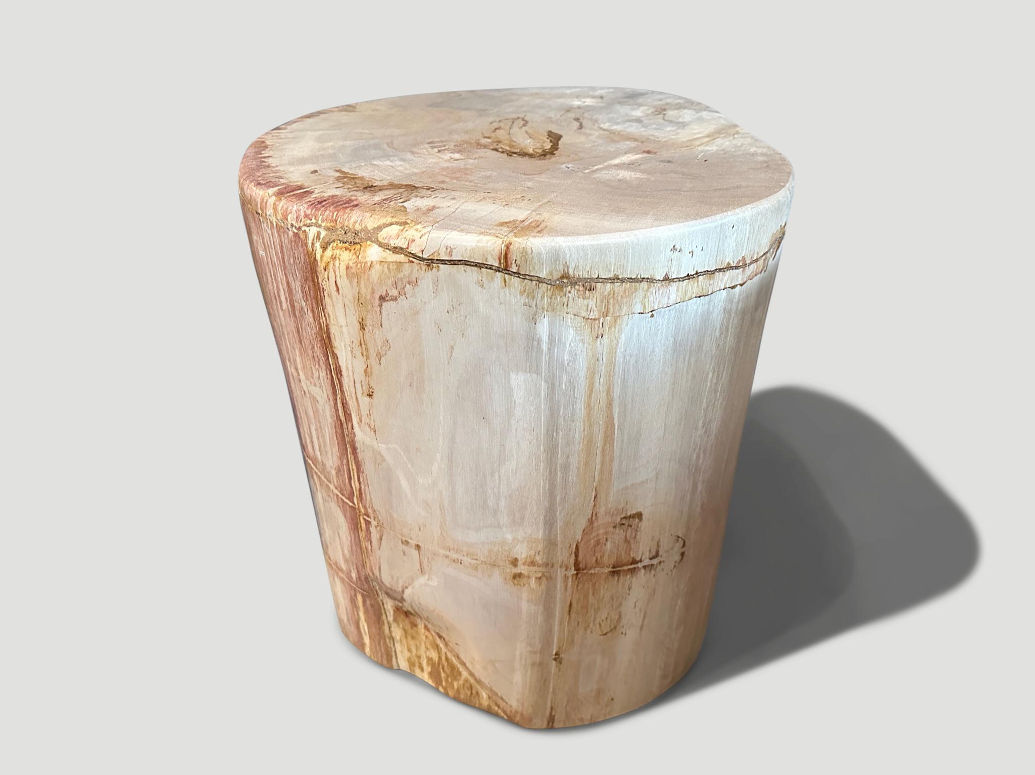 Beautiful coral and beige tones in this high quality petrified wood side table. It’s fascinating how Mother Nature produces these exquisite 40 million year old petrified teak logs with such contrasting colors and natural patterns throughout. Modern