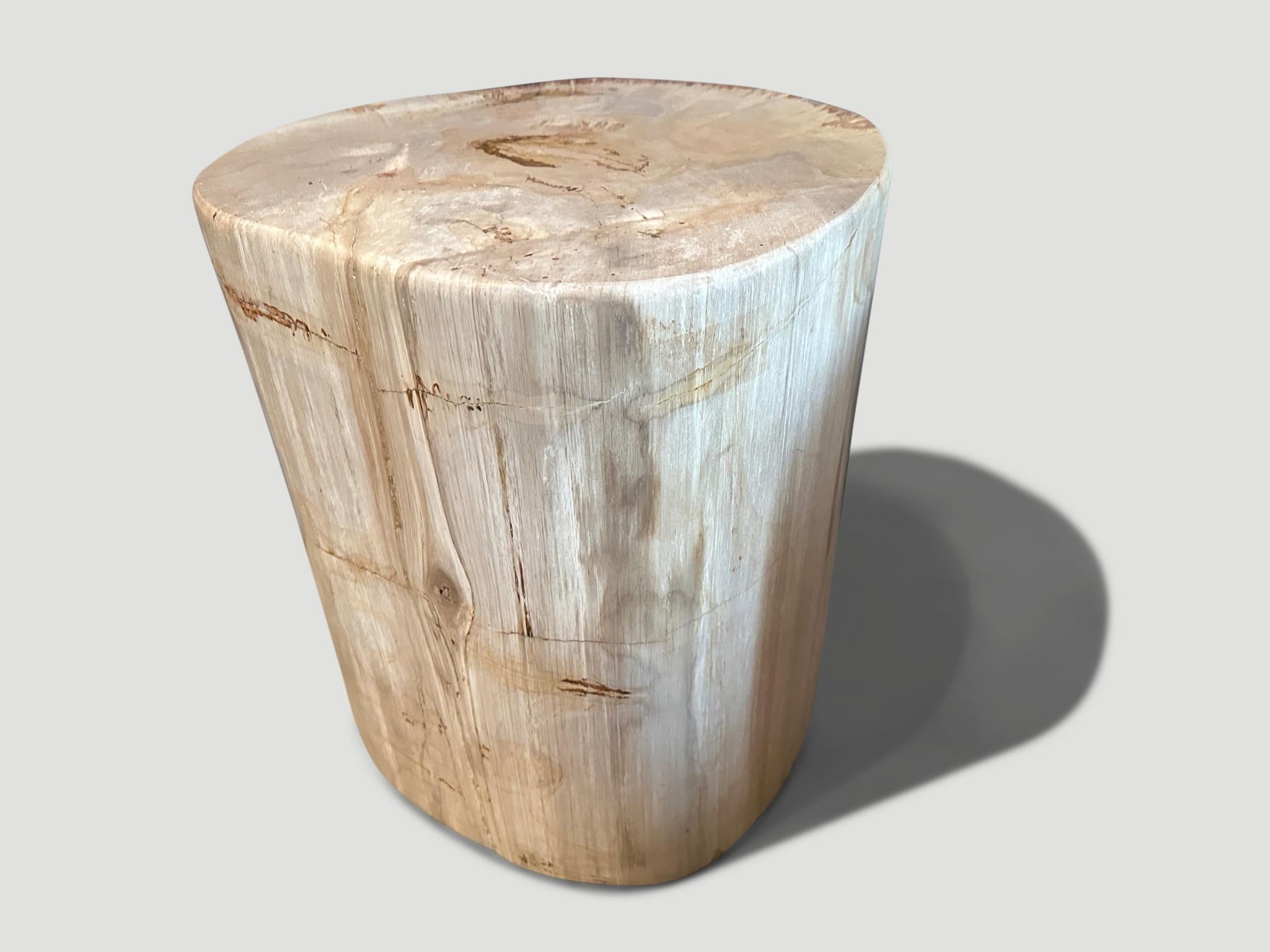 Organic Modern Andrianna Shamaris Coral and Beige Petrified Wood Side Table For Sale