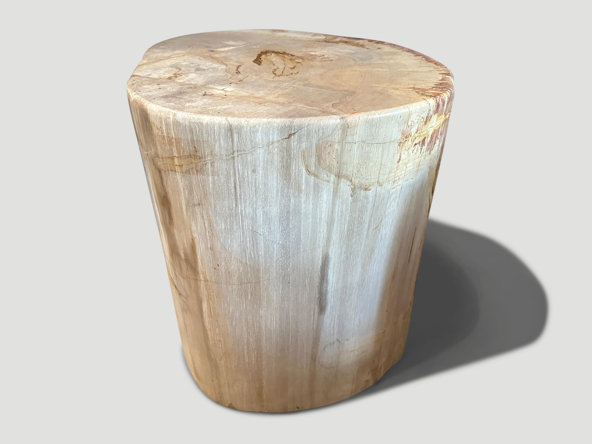 Andrianna Shamaris Coral and Beige Petrified Wood Side Table In Excellent Condition For Sale In New York, NY